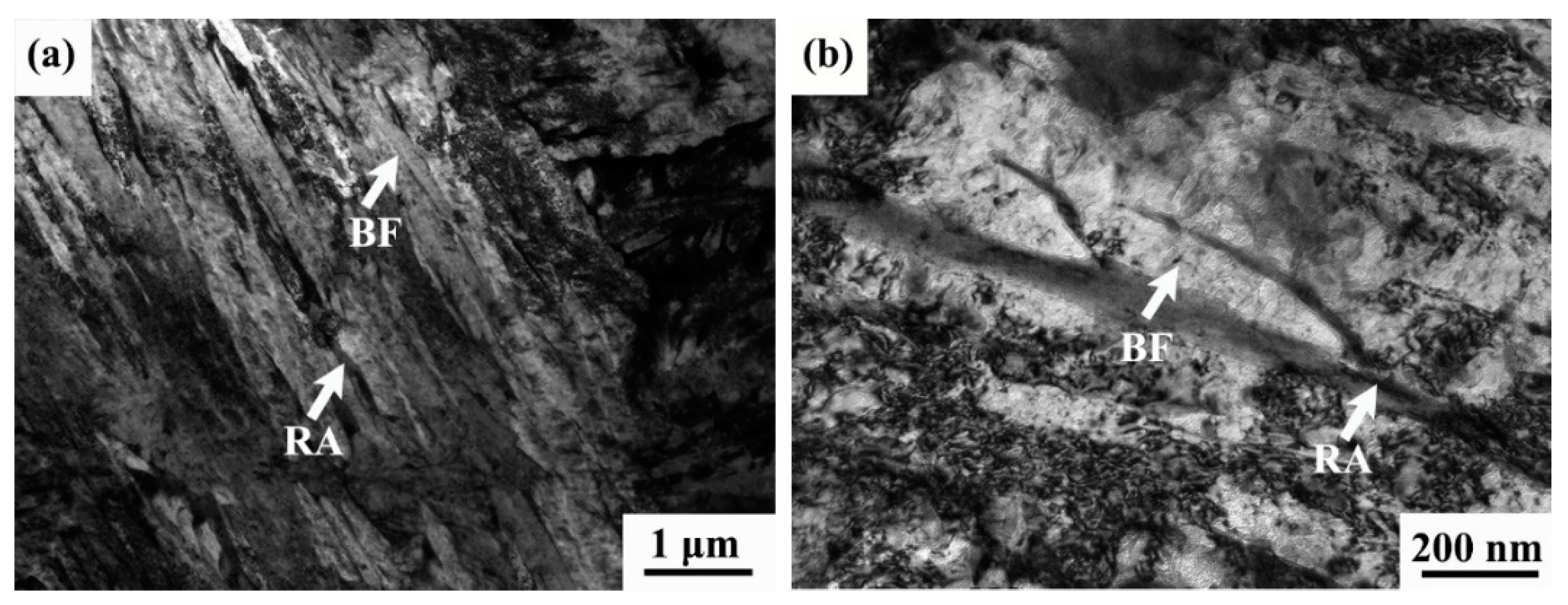 Coatings 15 00503 g003
