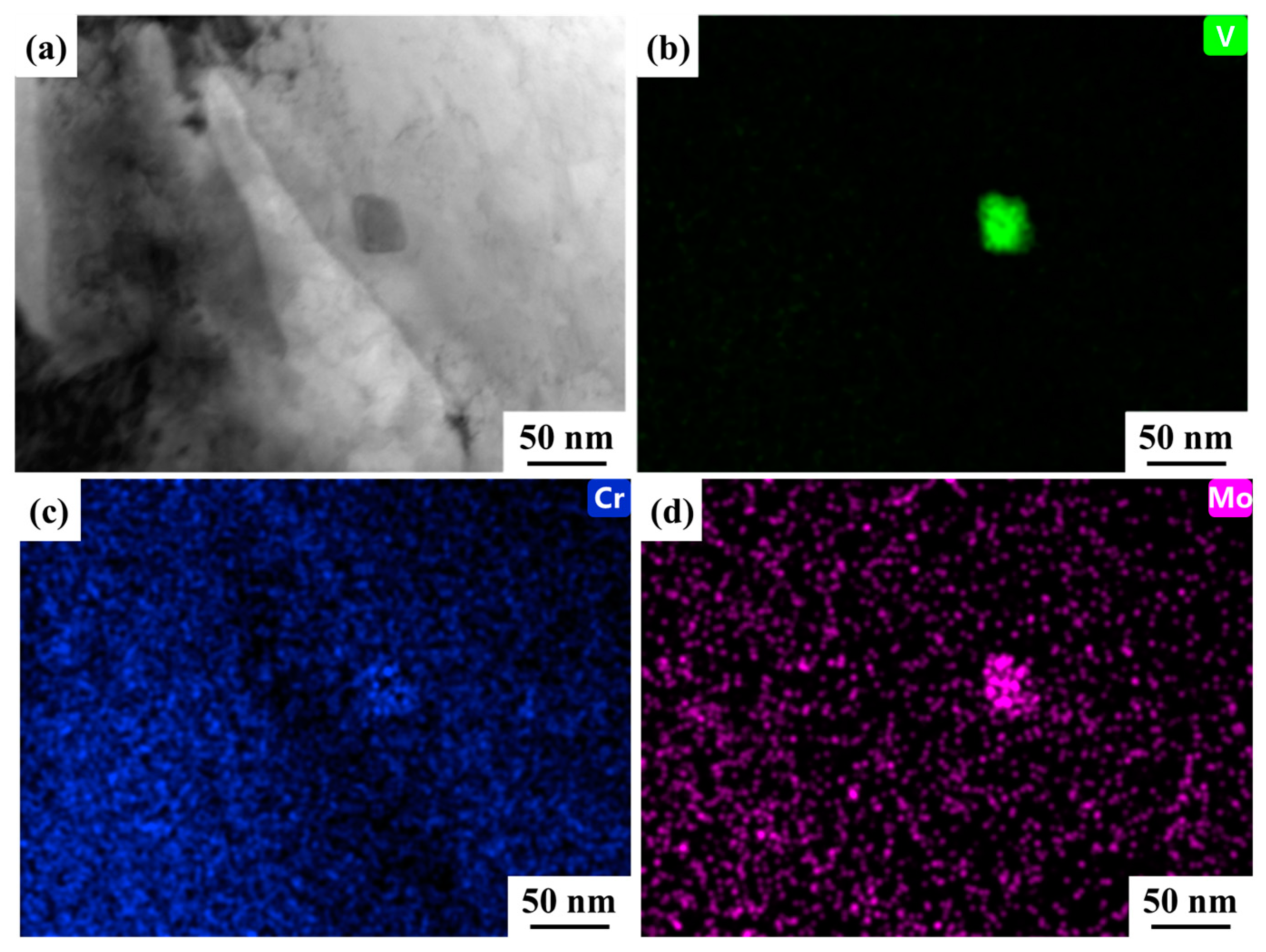 Coatings 15 00503 g004