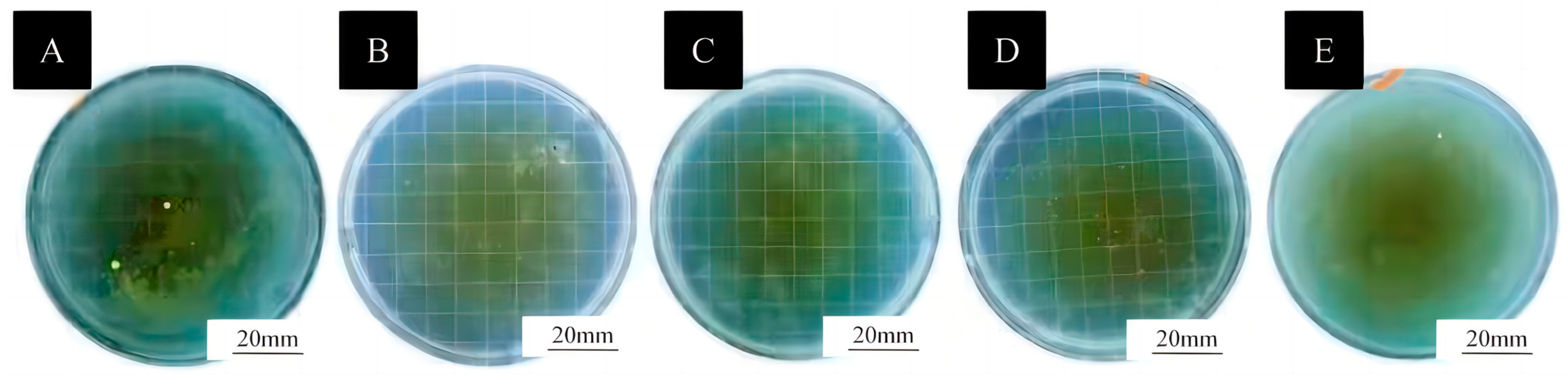 Coatings 15 00517 g008