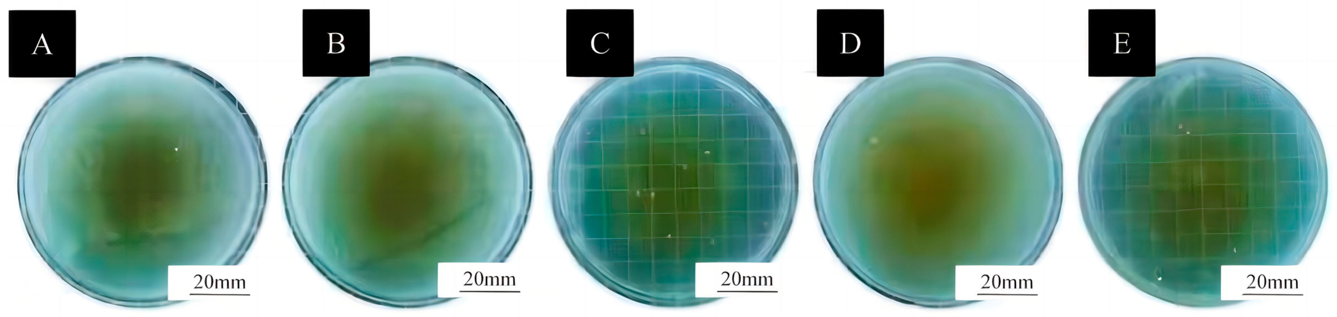 Coatings 15 00517 g009
