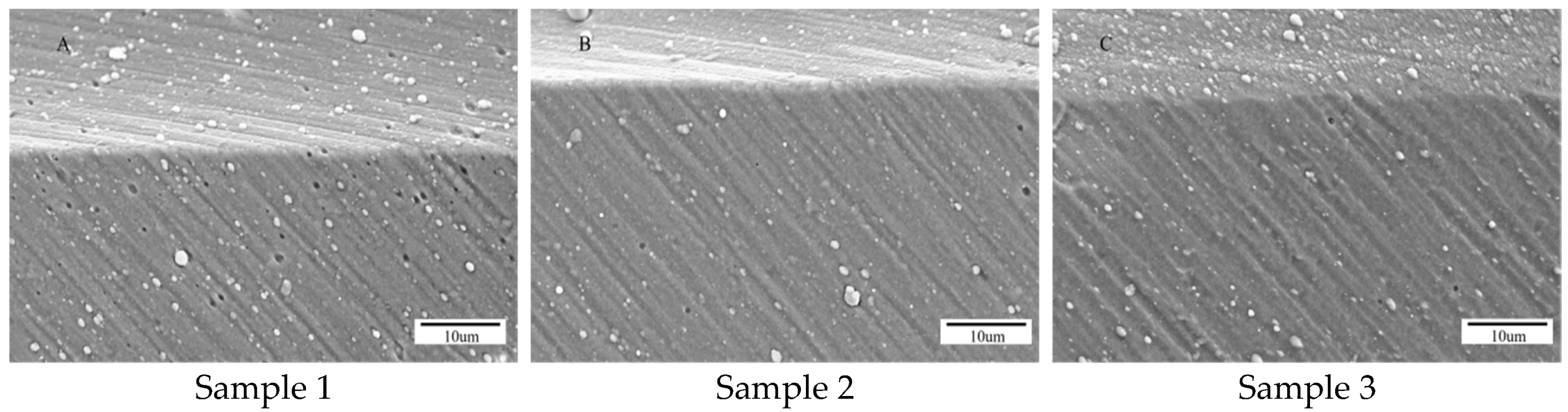 Coatings 15 00520 g004