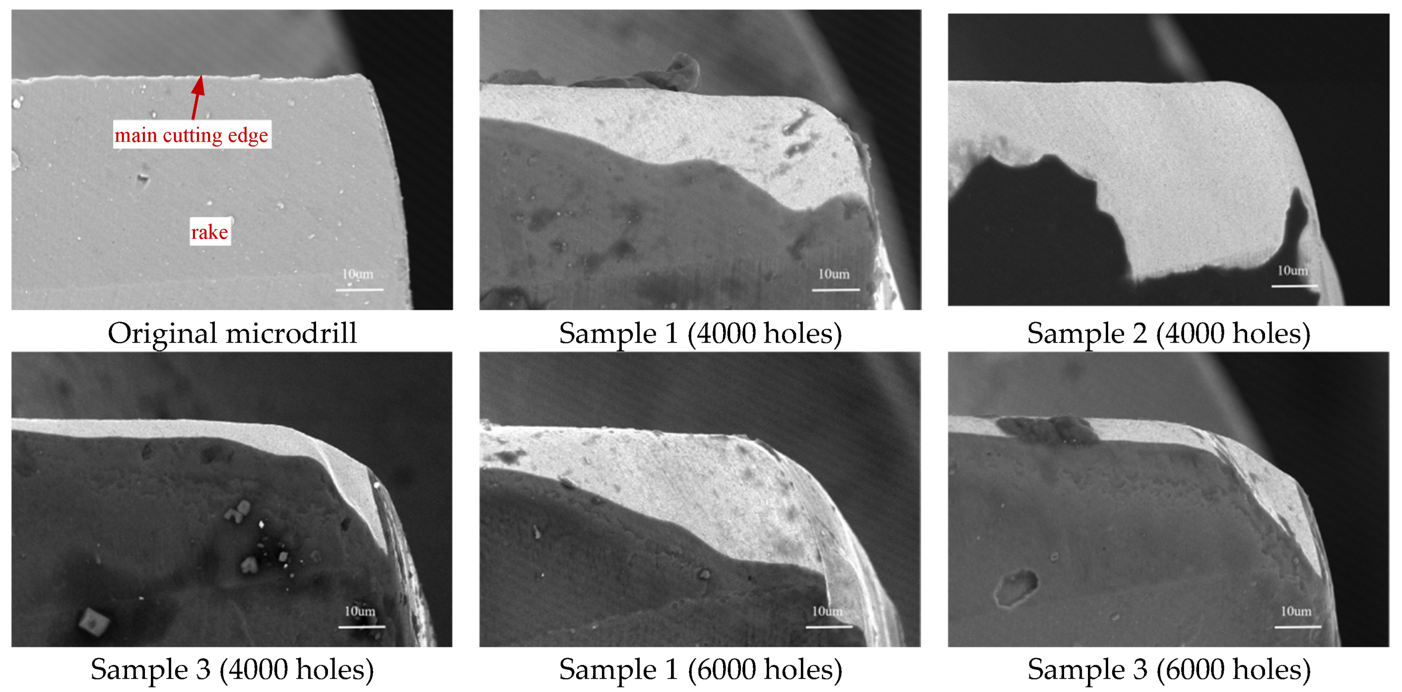 Coatings 15 00520 g010