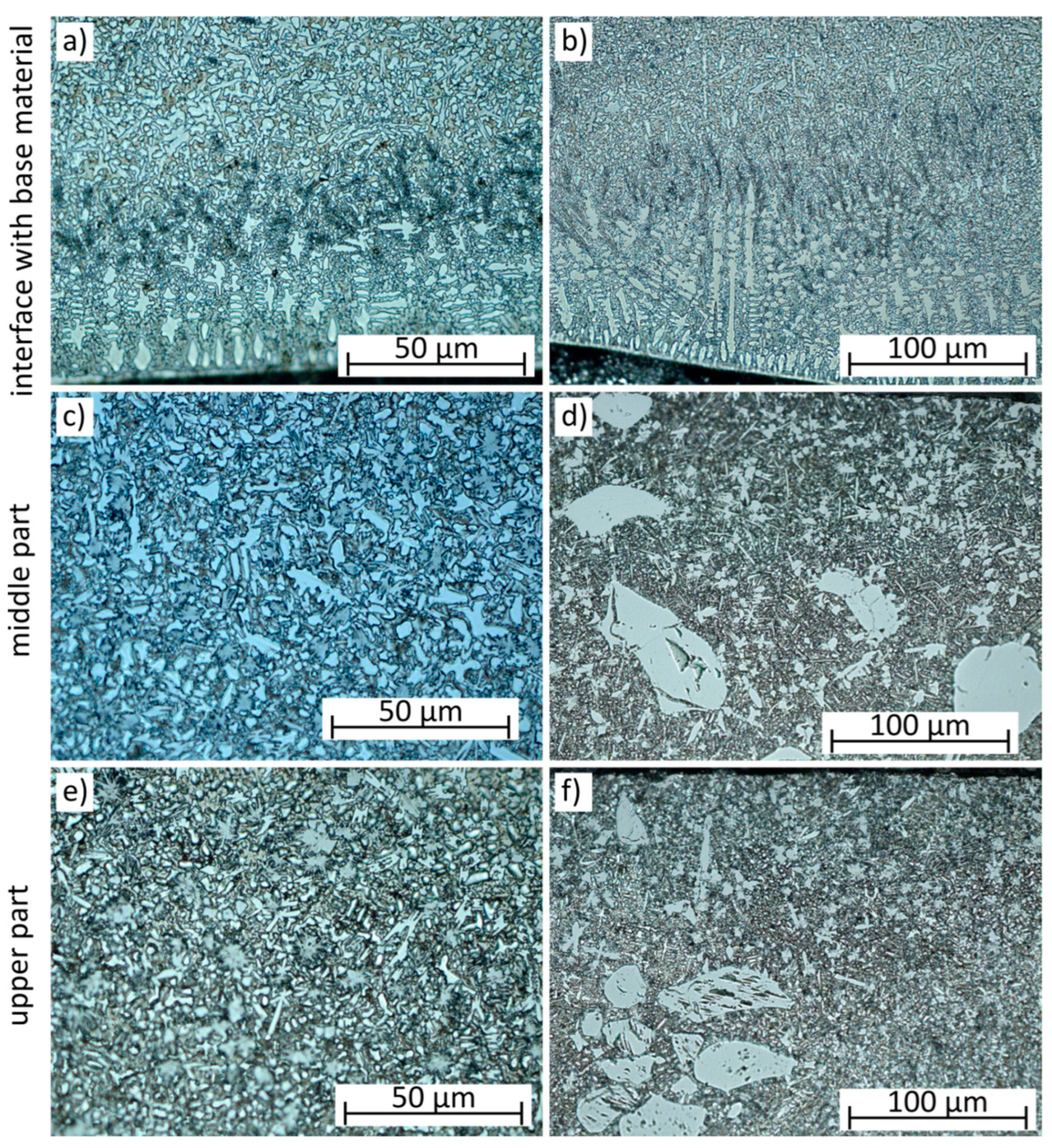 Coatings 15 00527 g006