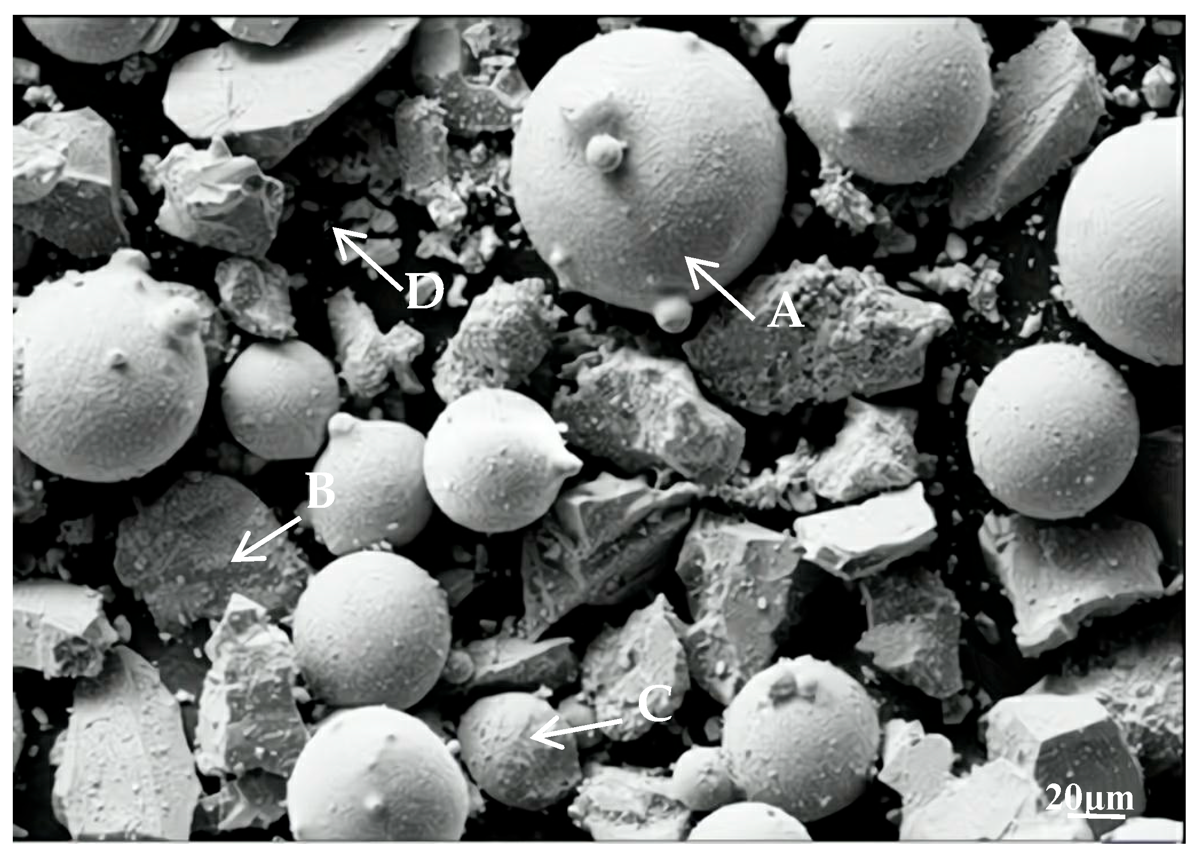 Coatings 15 00530 g001