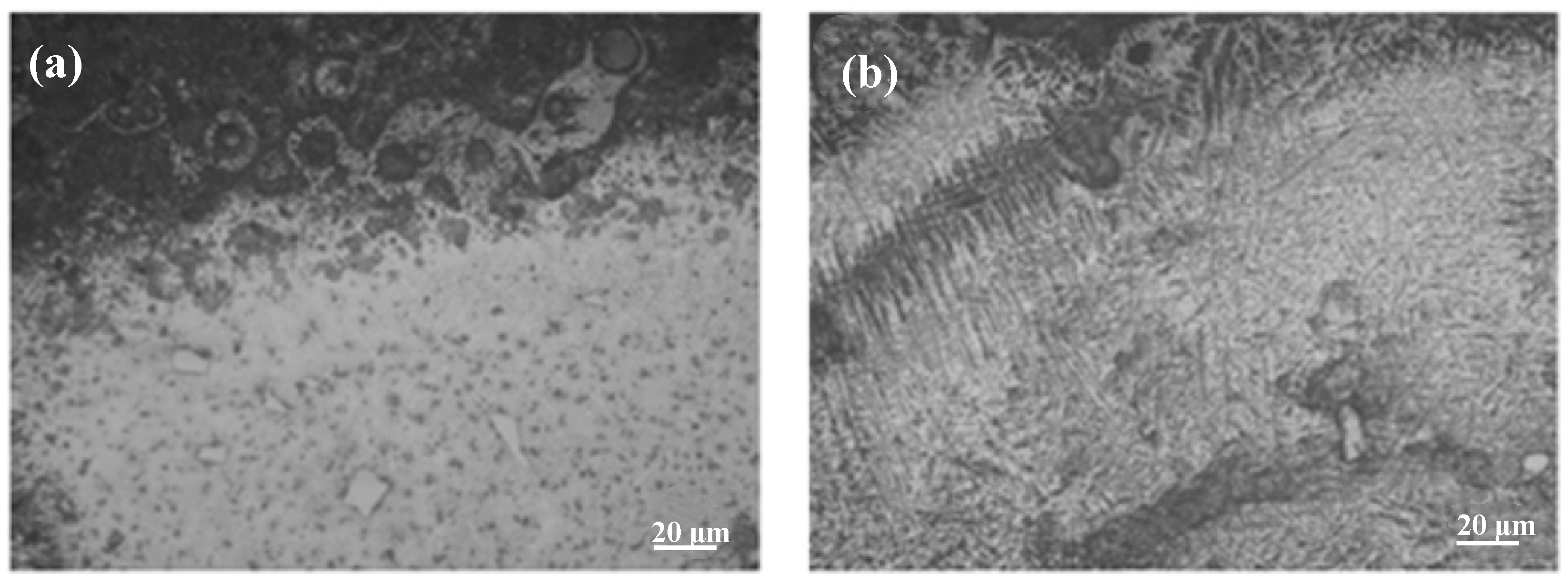 Coatings 15 00530 g005