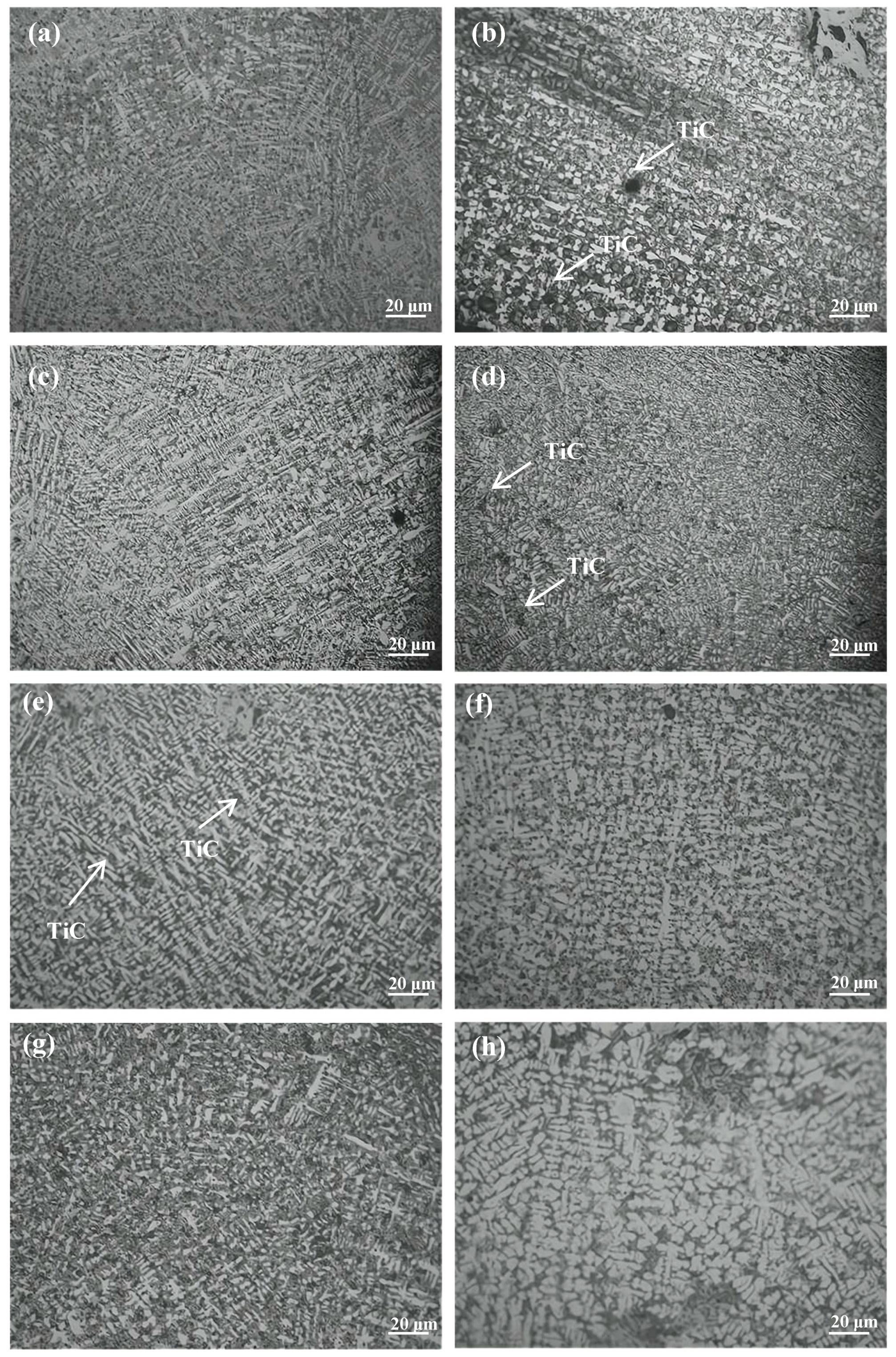 Coatings 15 00530 g006