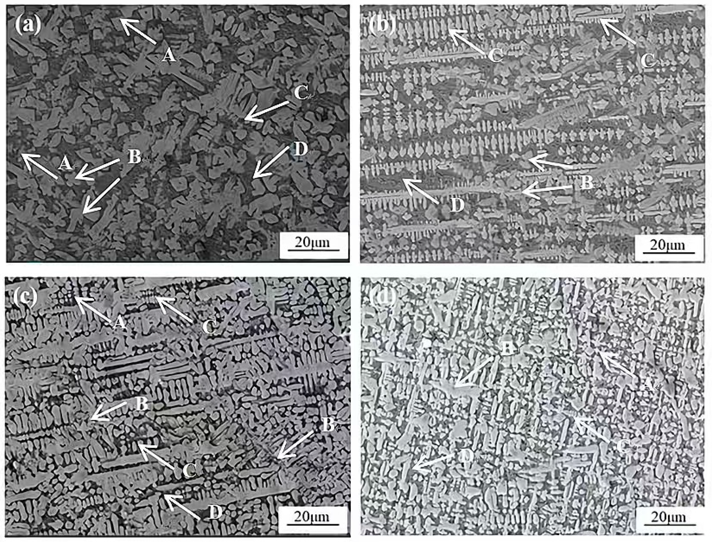 Coatings 15 00530 g007
