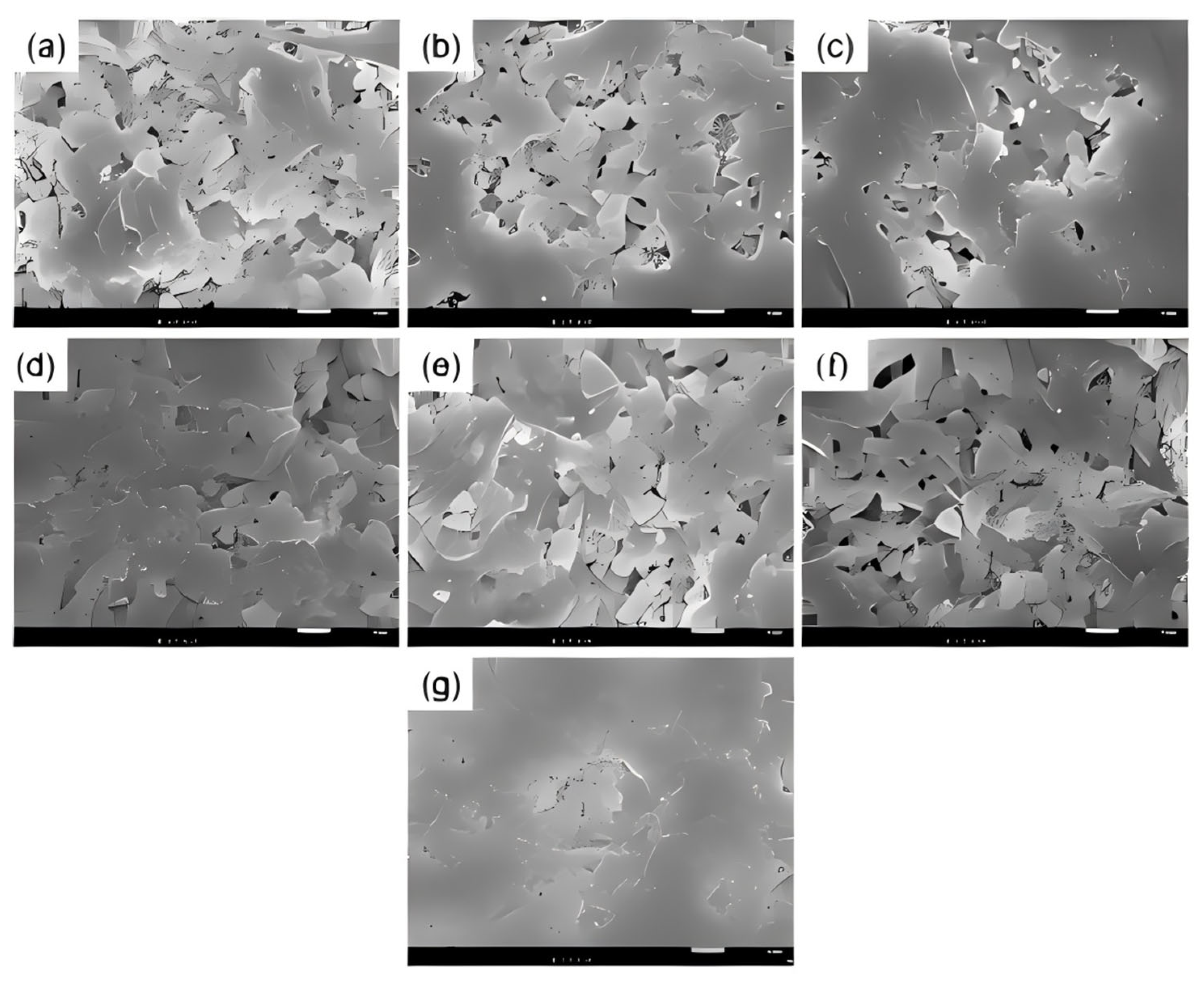 Coatings 15 00532 g005