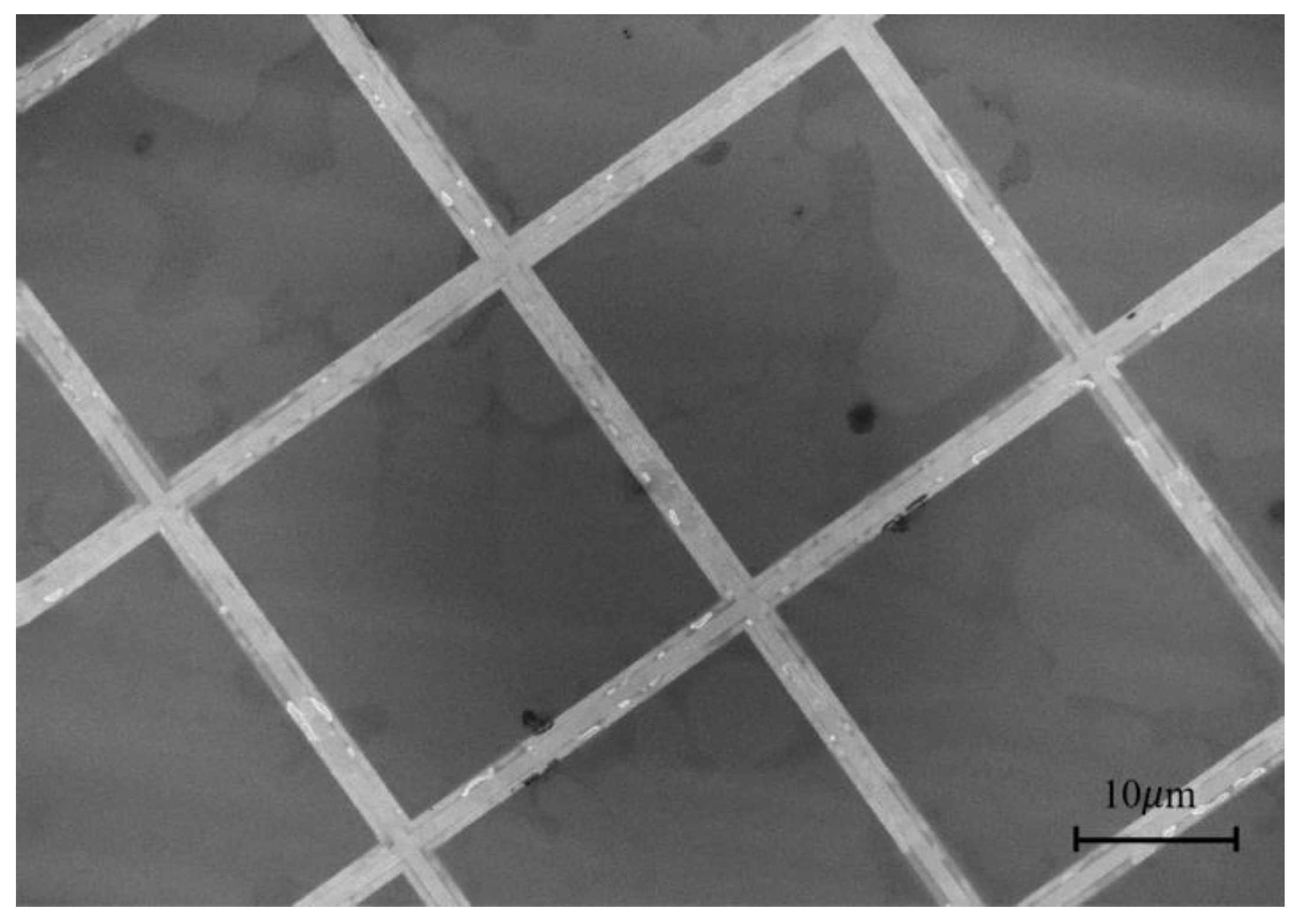 Coatings 15 00535 g008