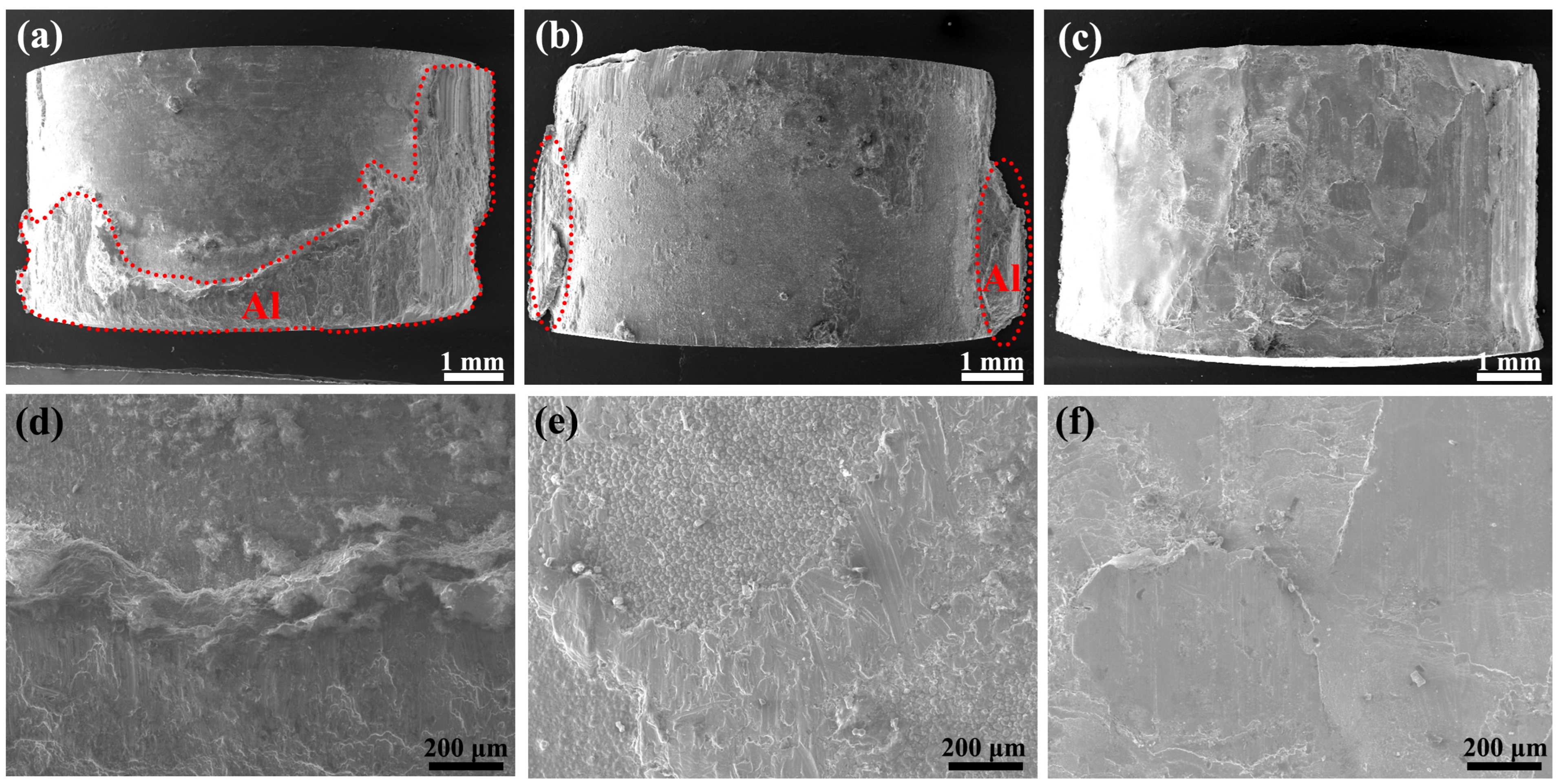 Coatings 15 00541 g008