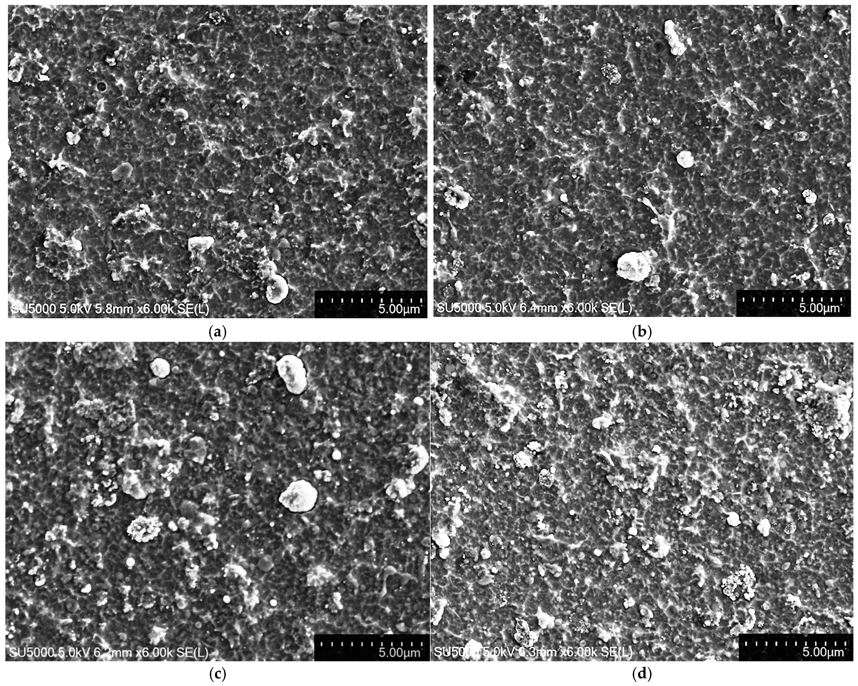 Coatings 15 00542 g001