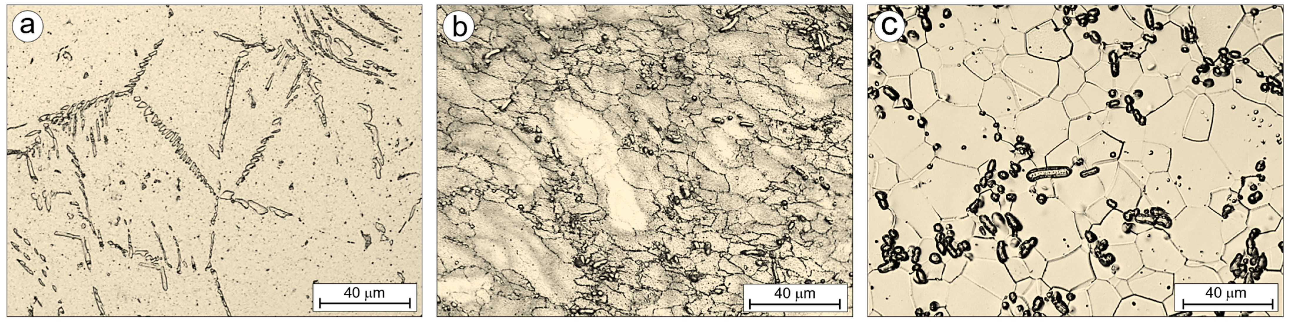 Coatings 15 00546 g003