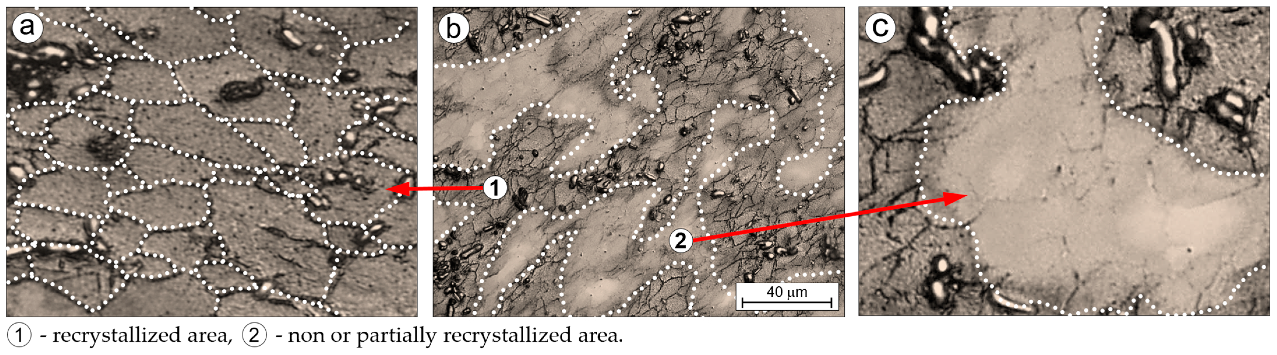 Coatings 15 00546 g004