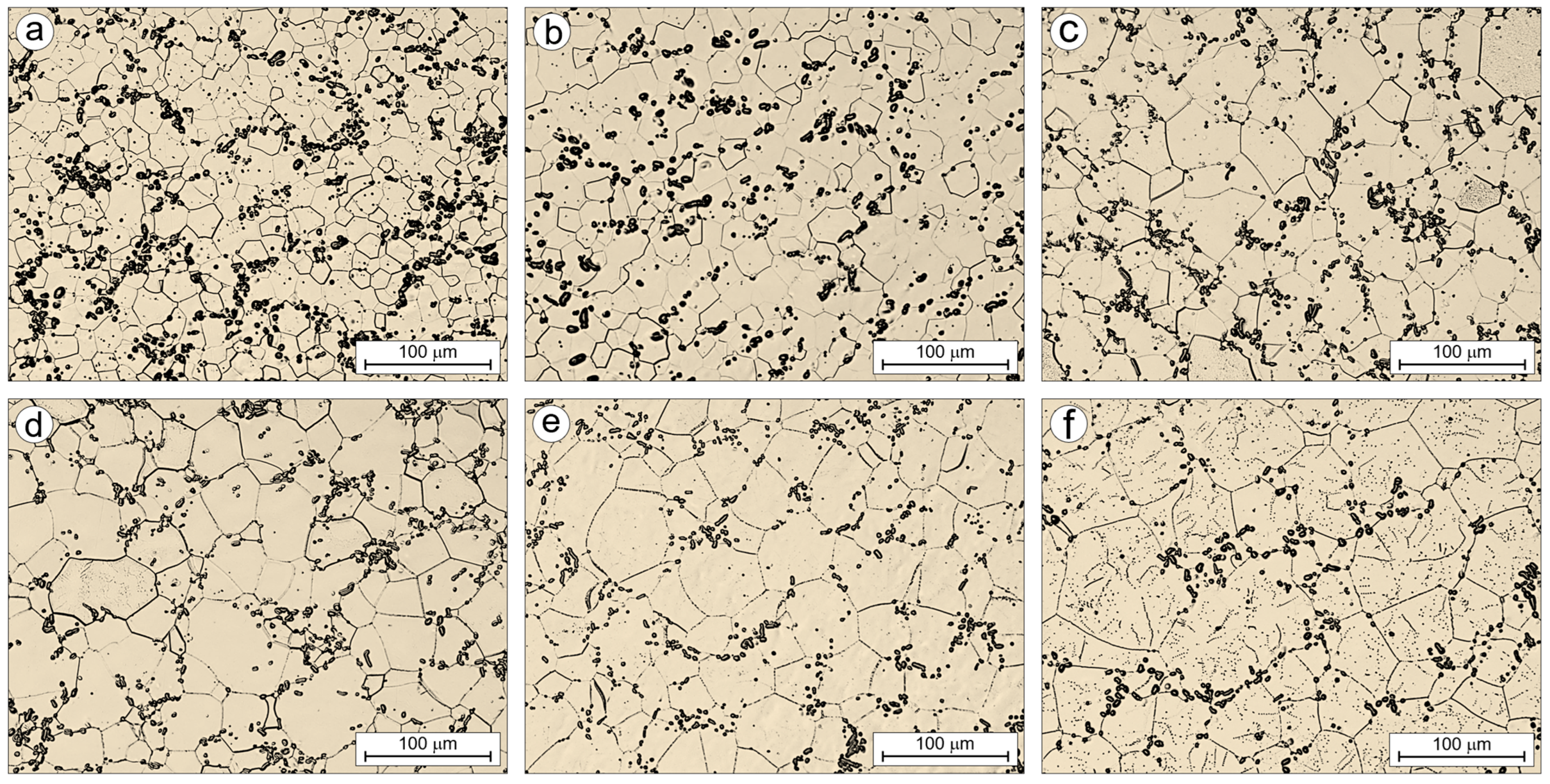 Coatings 15 00546 g014