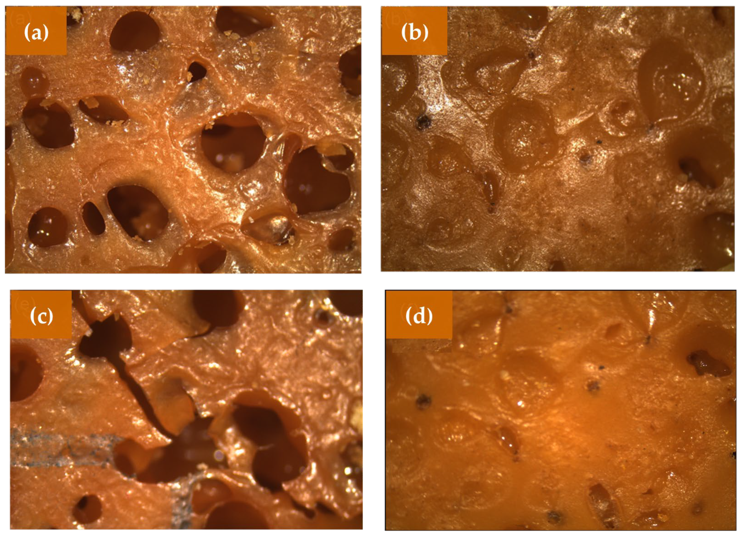 Coatings 15 00550 g007