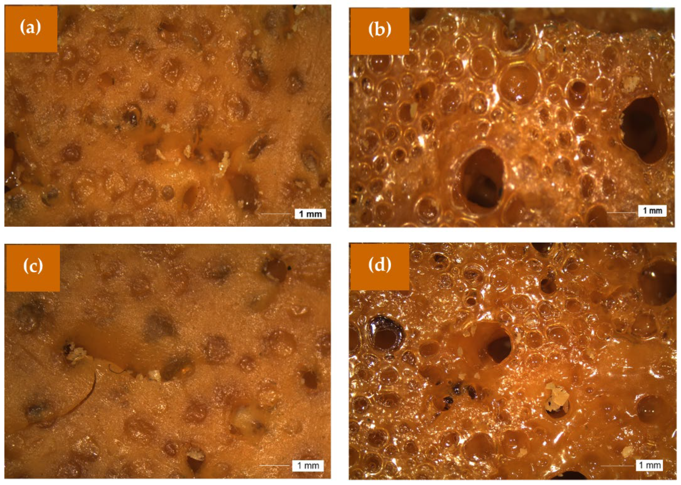 Coatings 15 00550 g008