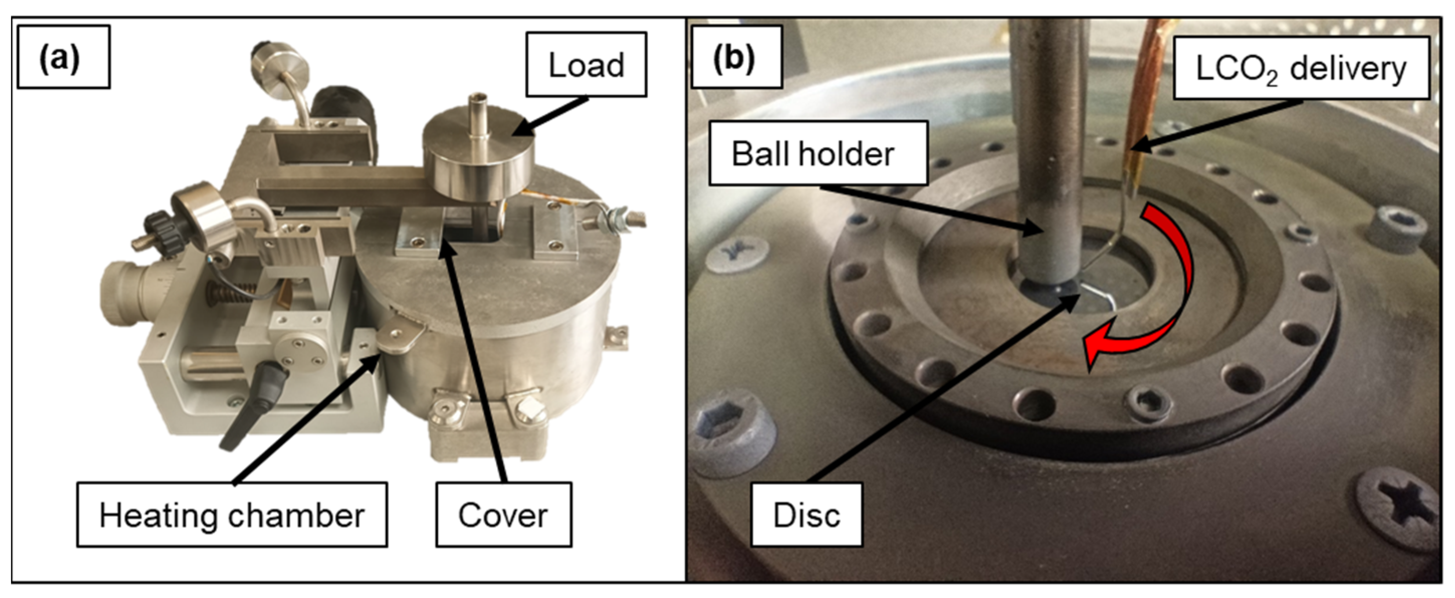 Coatings 15 00553 g002