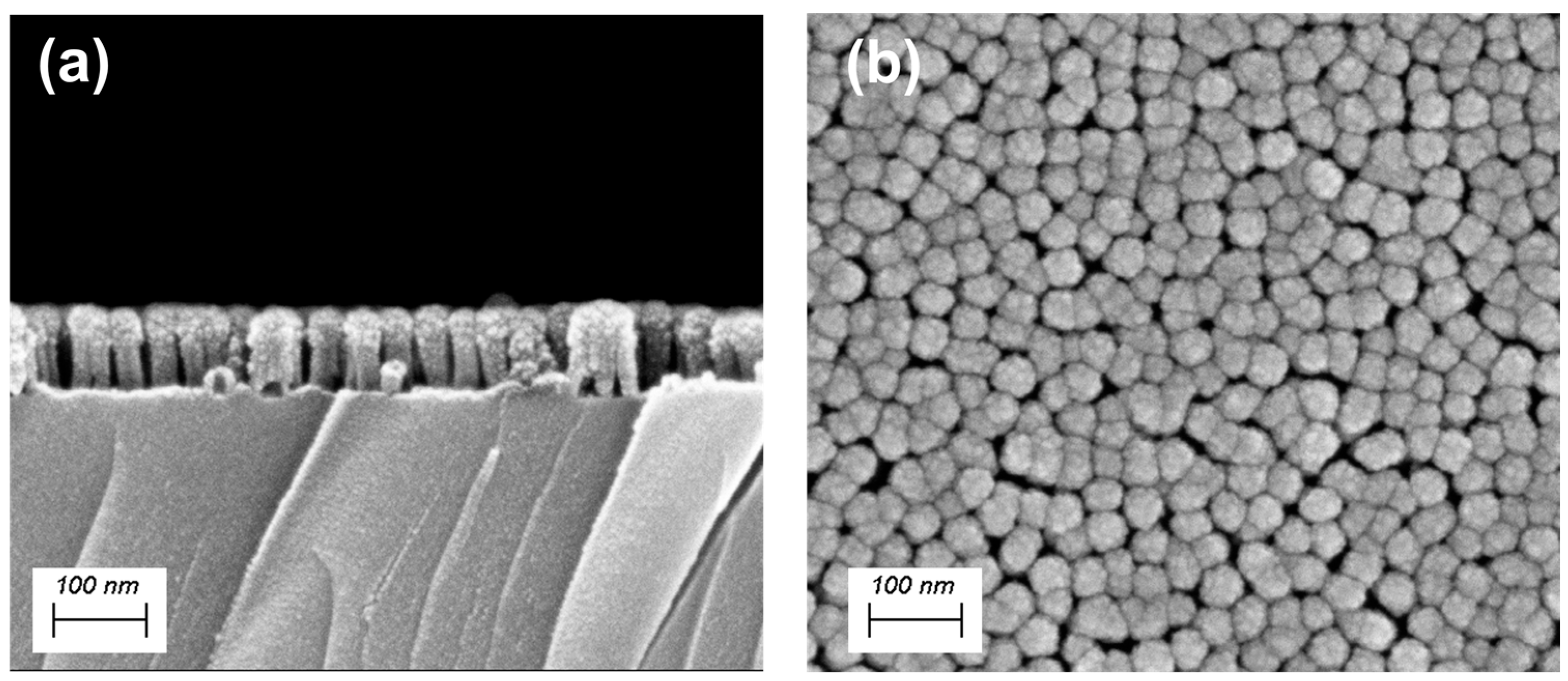 Coatings 15 00556 g003