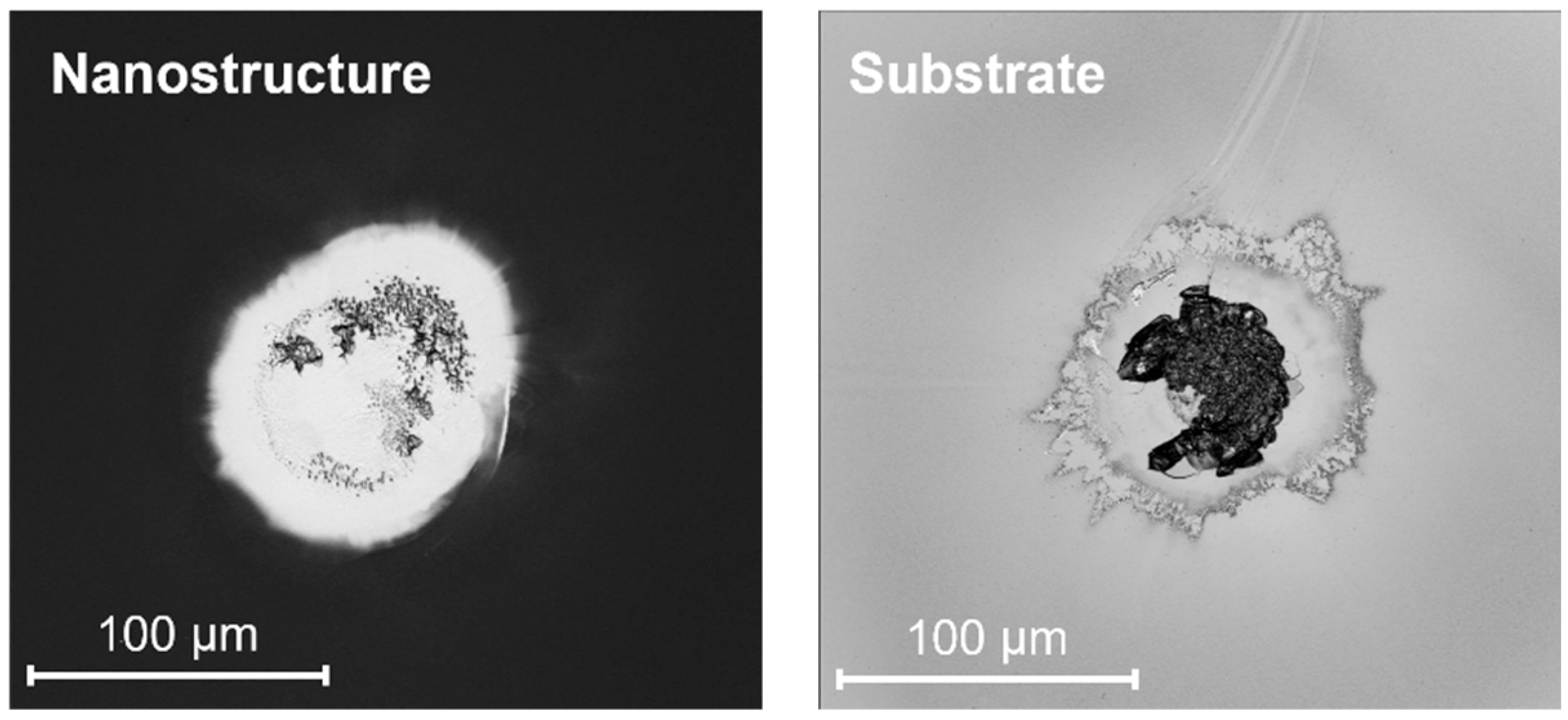 Coatings 15 00556 g010