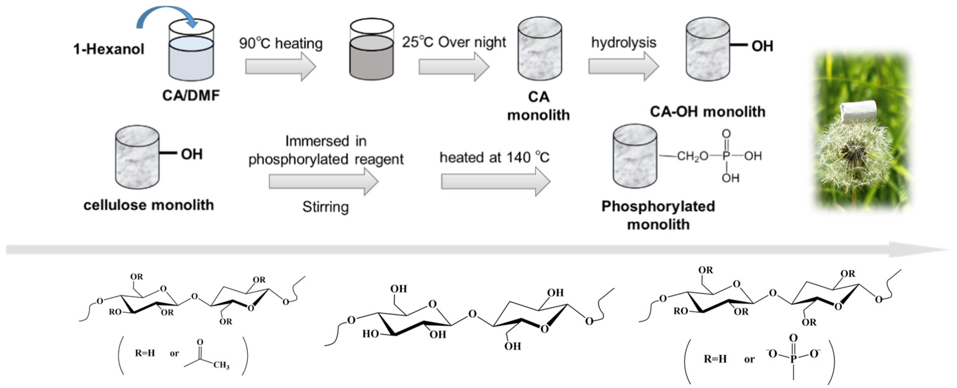 Coatings 15 00557 g001