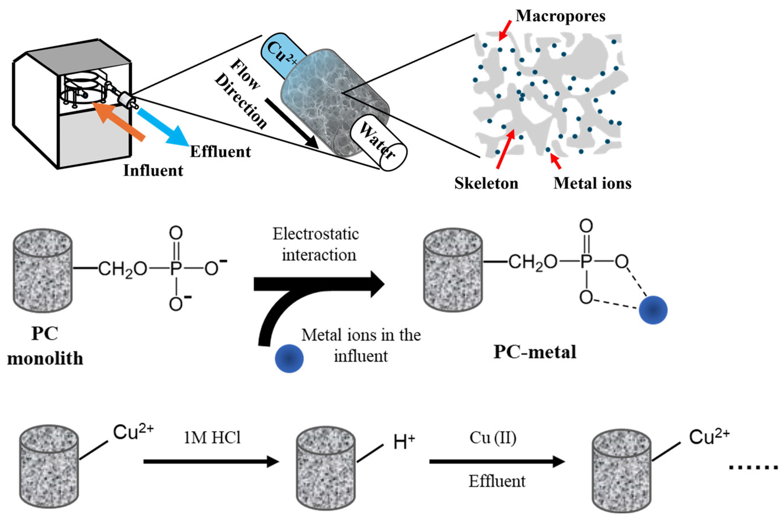 Coatings 15 00557 g005