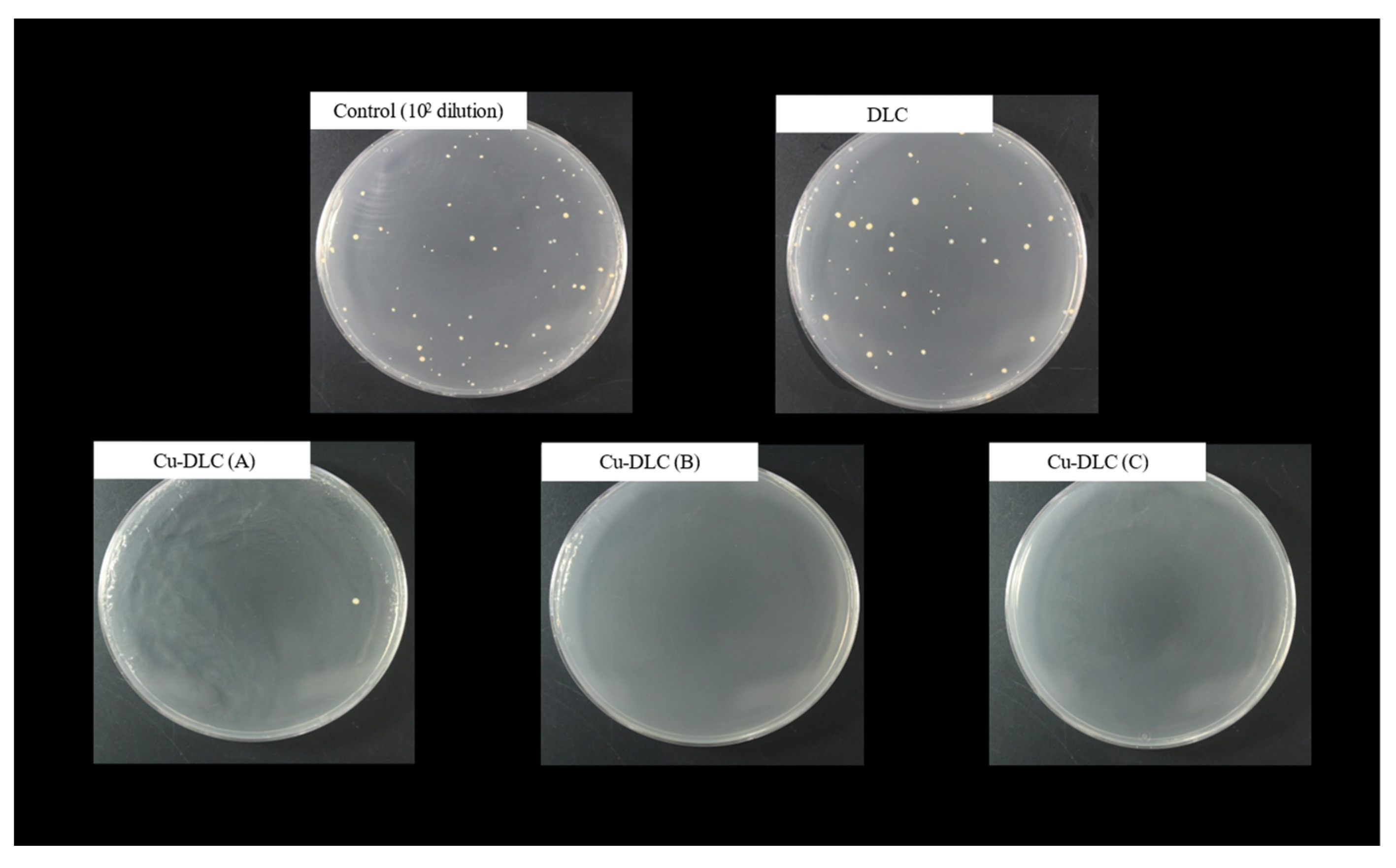 Coatings 15 00559 g009
