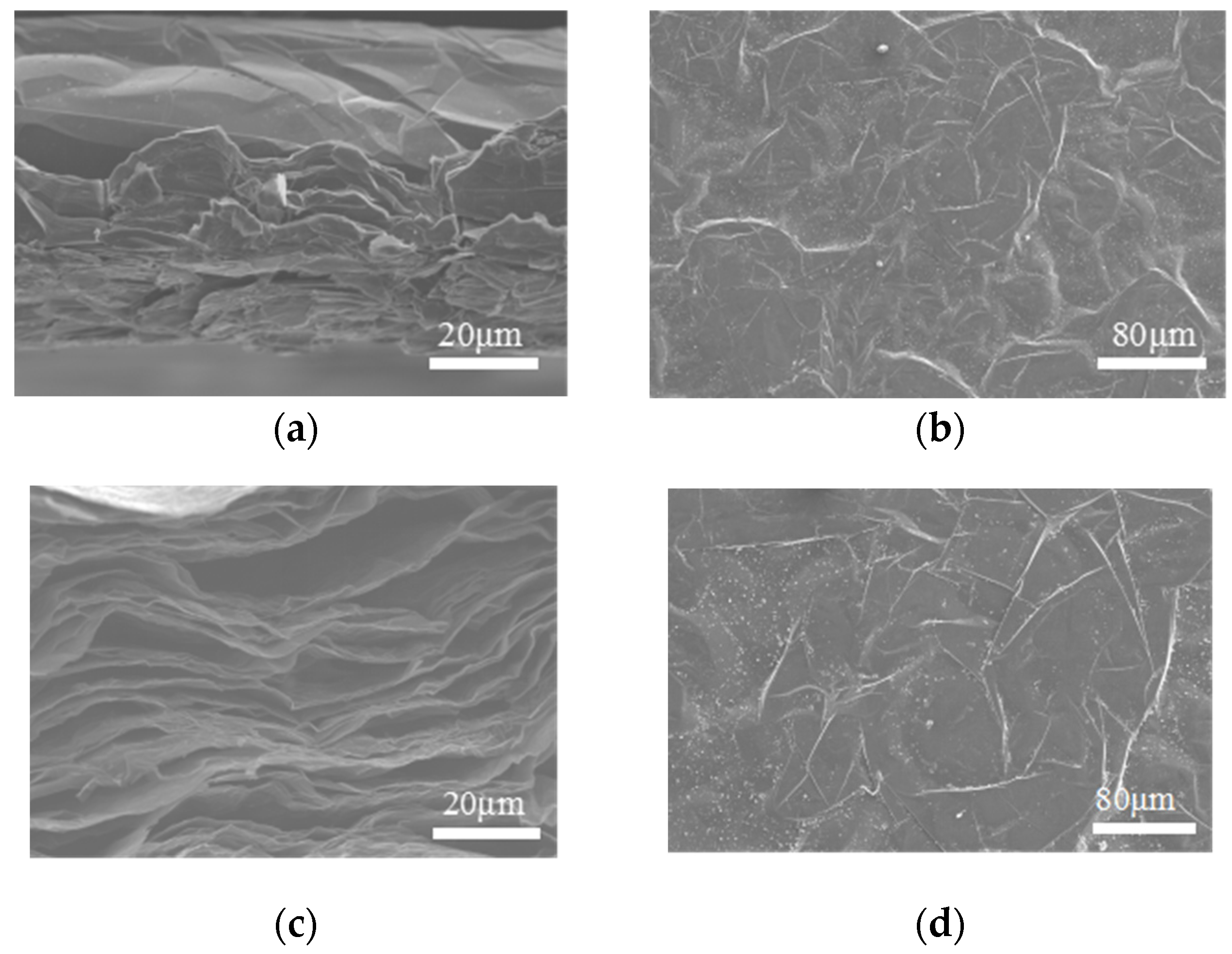 Coatings 15 00560 g002