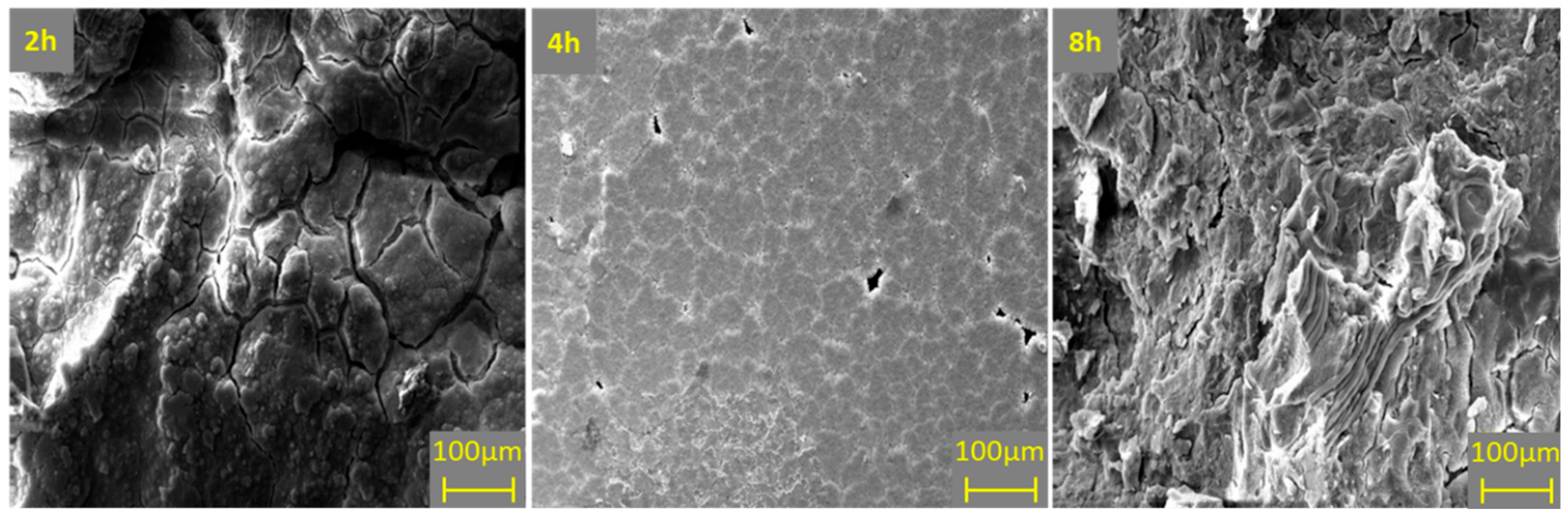 Coatings 15 00561 g007