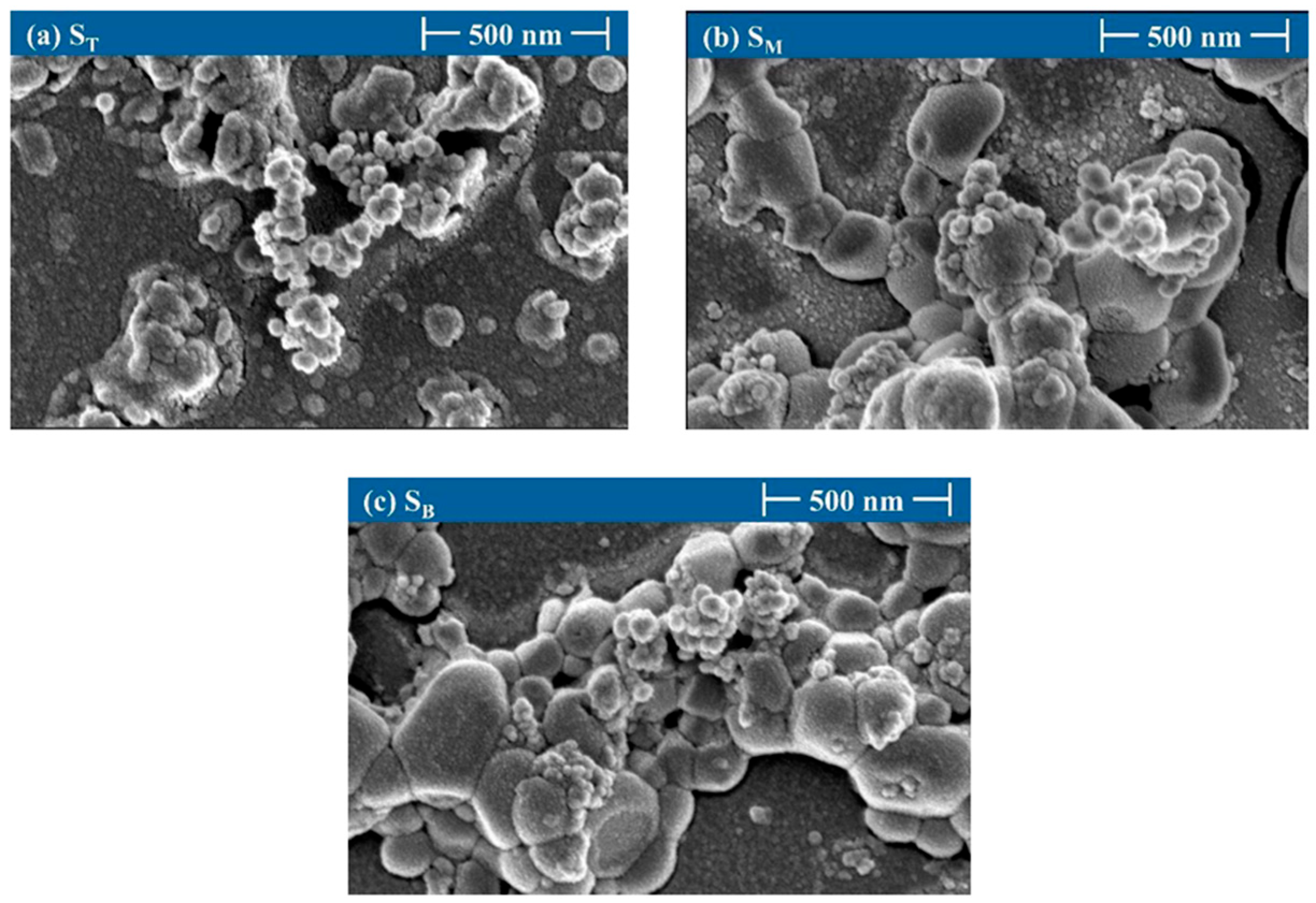 Coatings 15 00563 g015