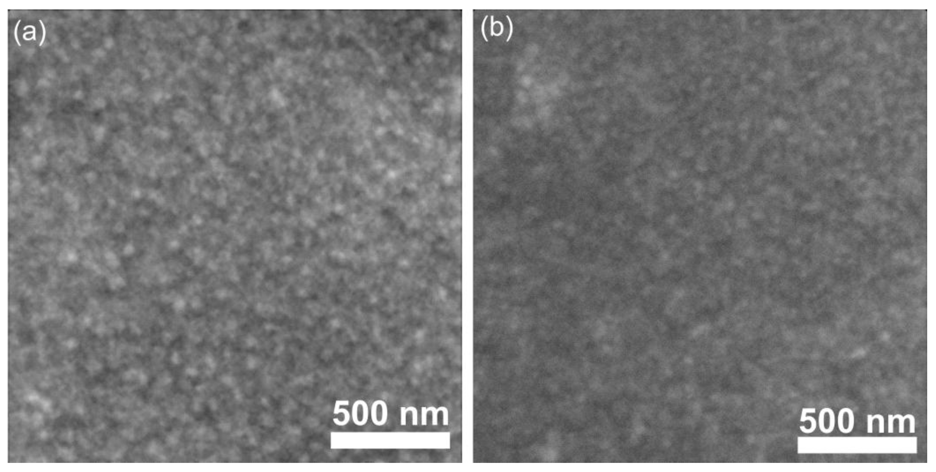 Coatings 15 00565 g008