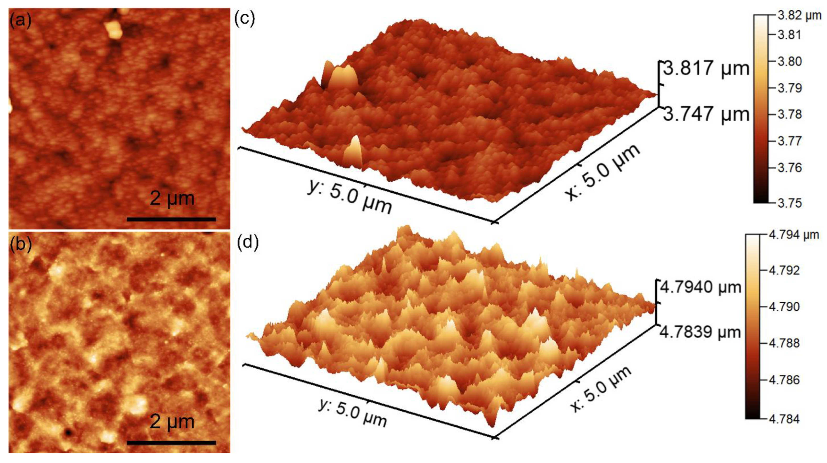 Coatings 15 00565 g010