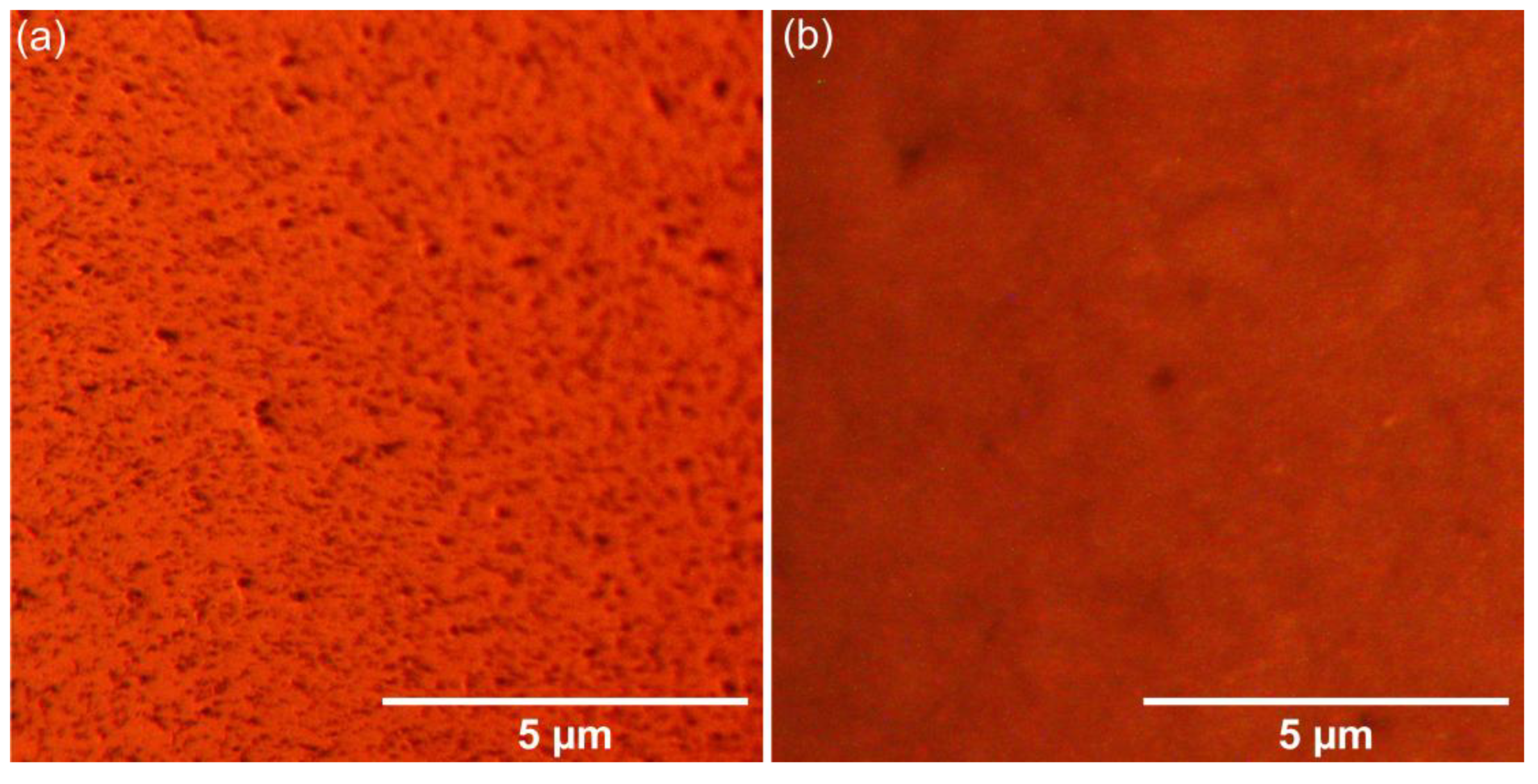 Coatings 15 00565 g011