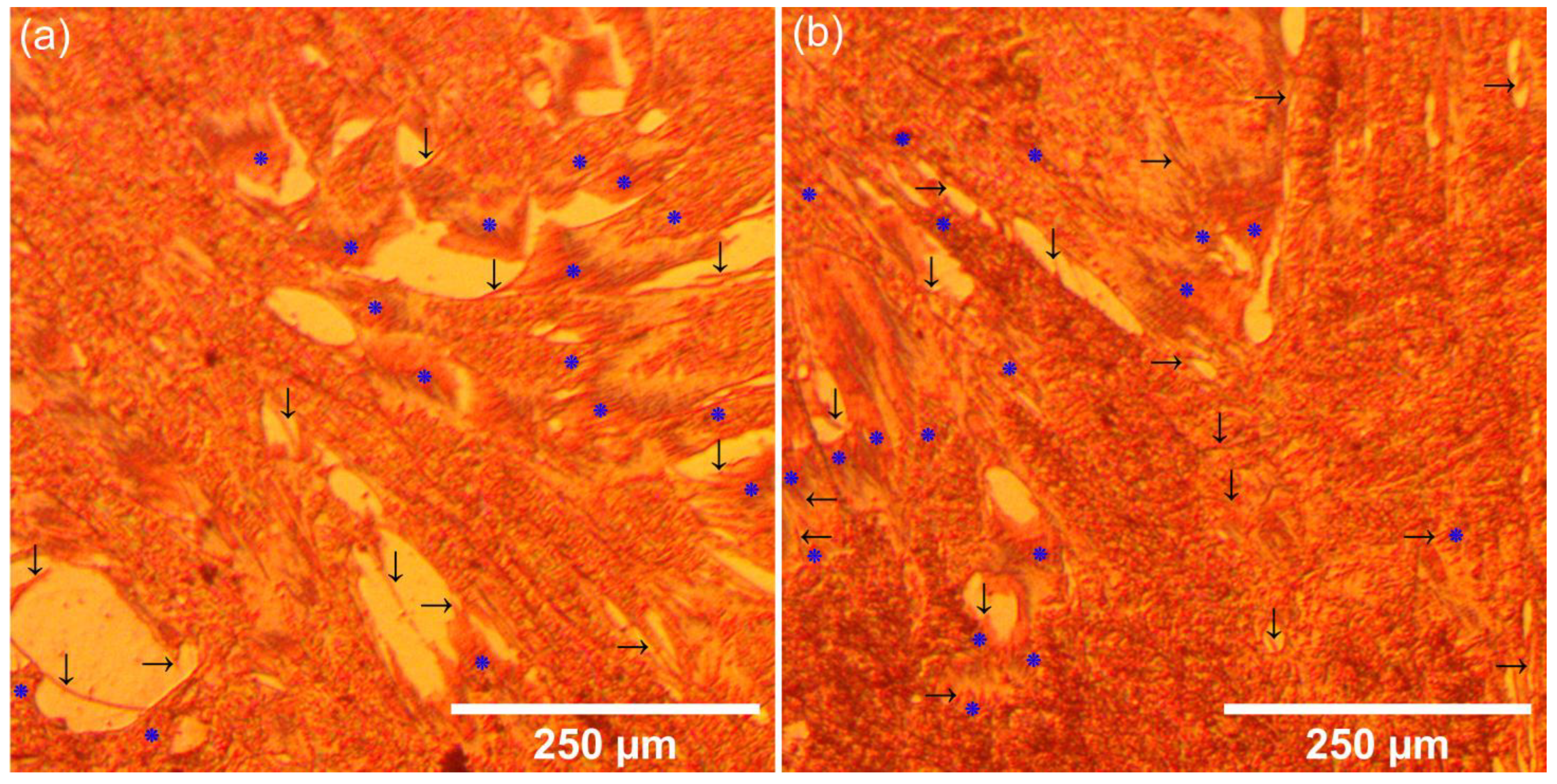 Coatings 15 00565 g013