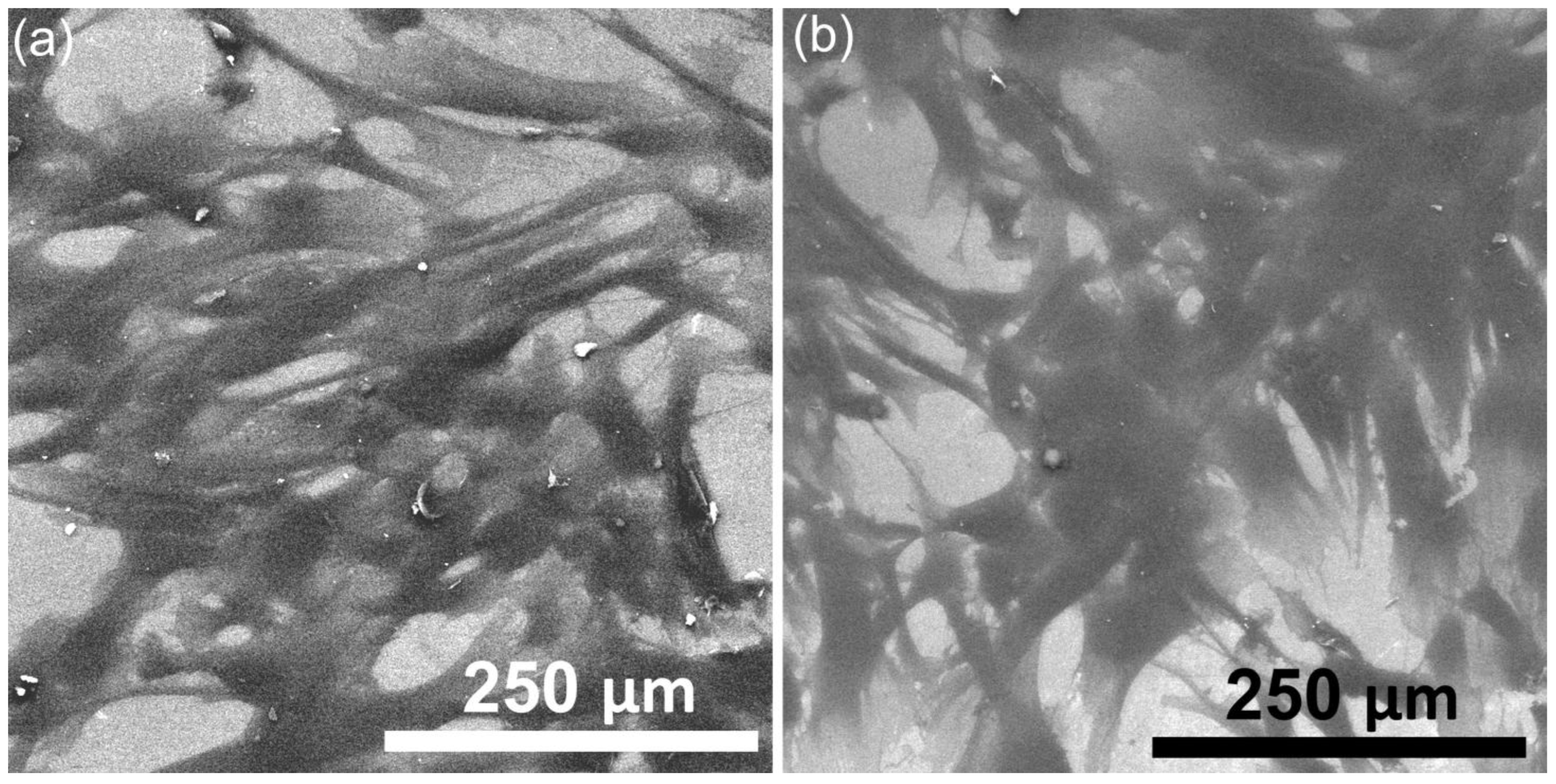 Coatings 15 00565 g014
