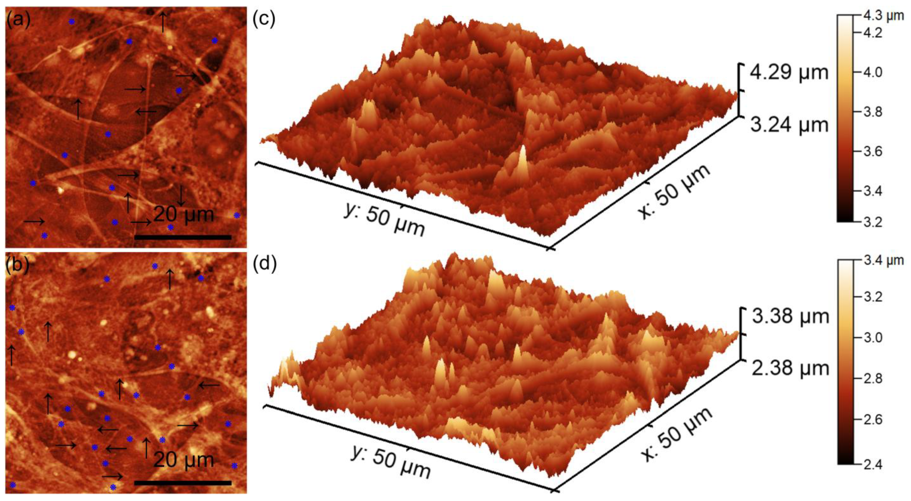 Coatings 15 00565 g015
