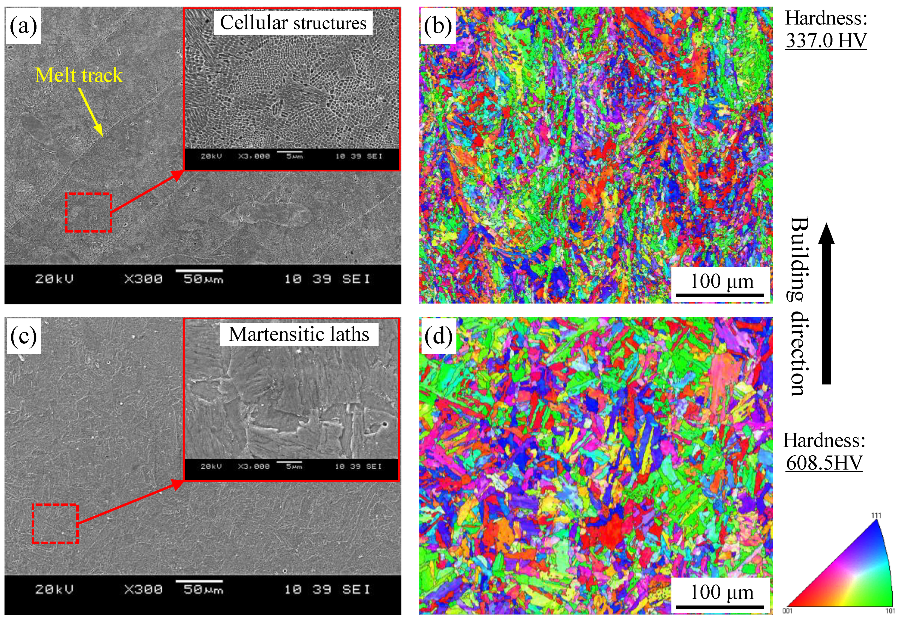 Coatings 15 00566 g003