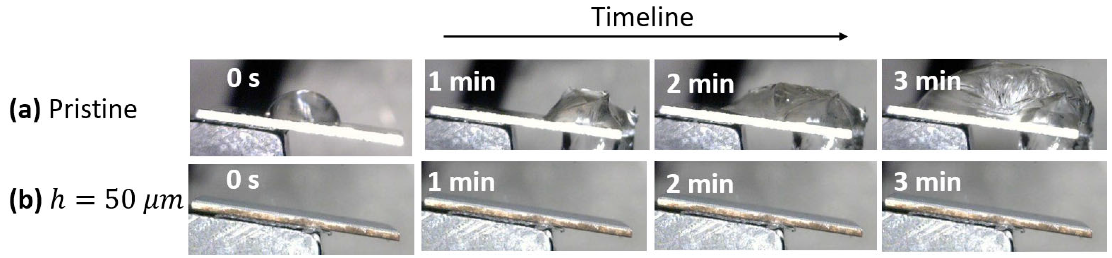 Coatings 15 00567 g007