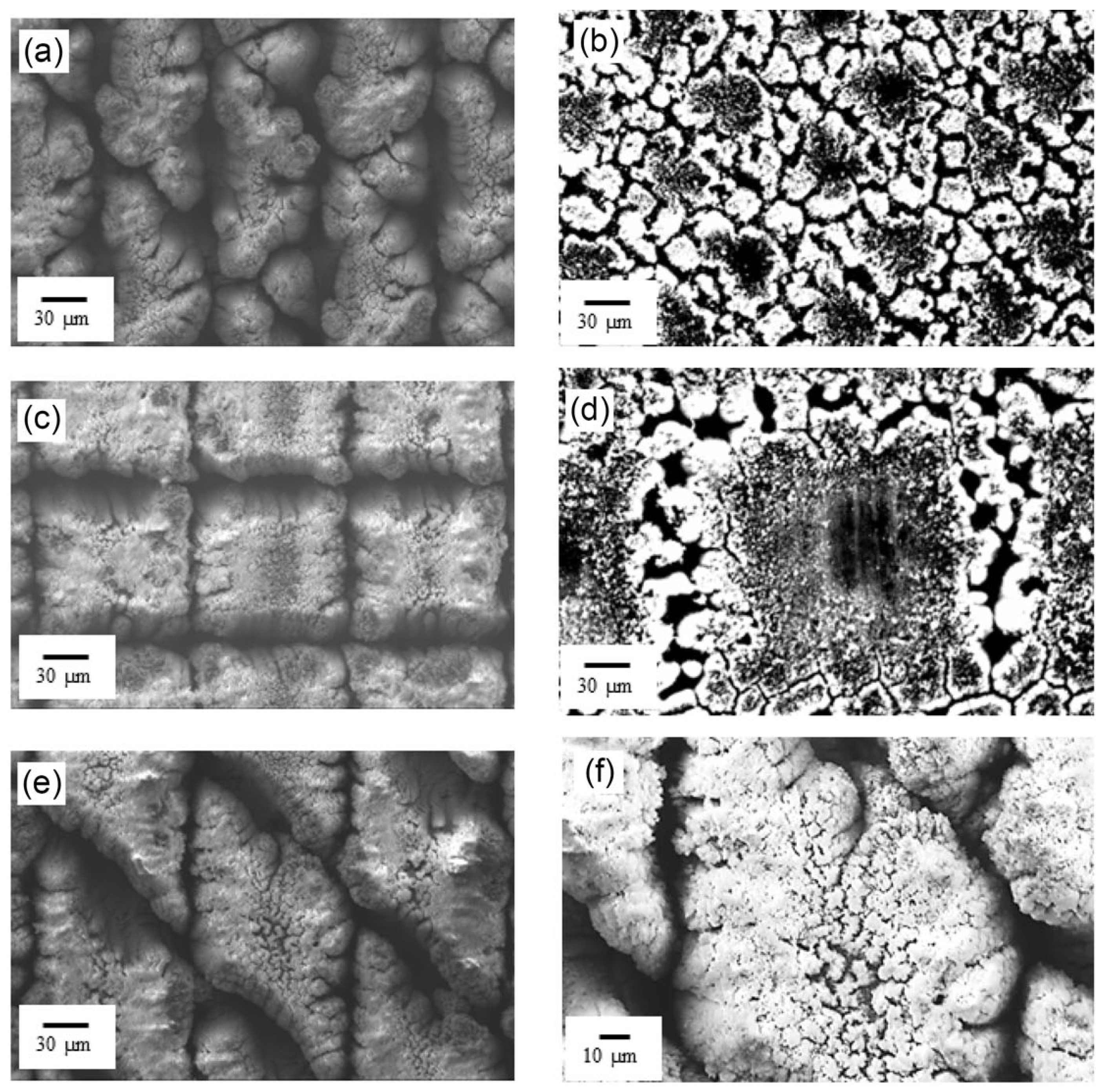Coatings 15 00567 g010