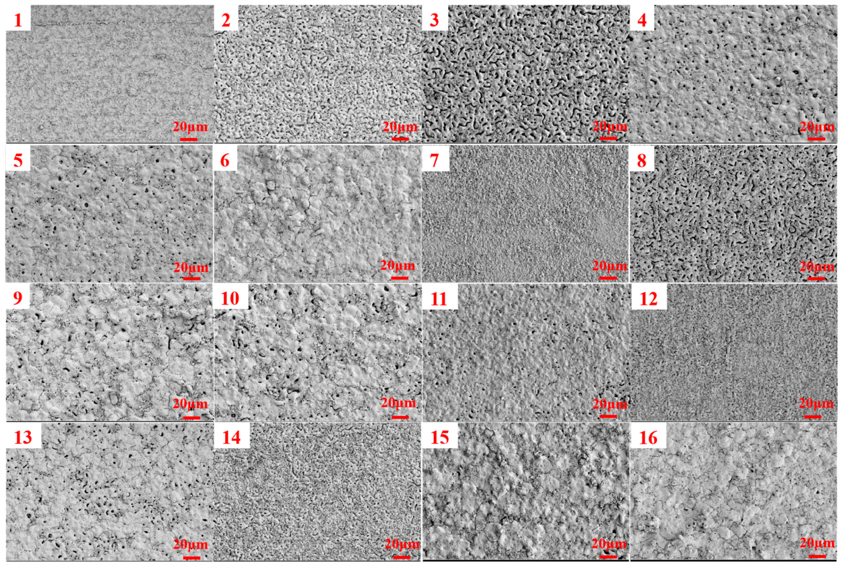 Coatings 15 00569 g001