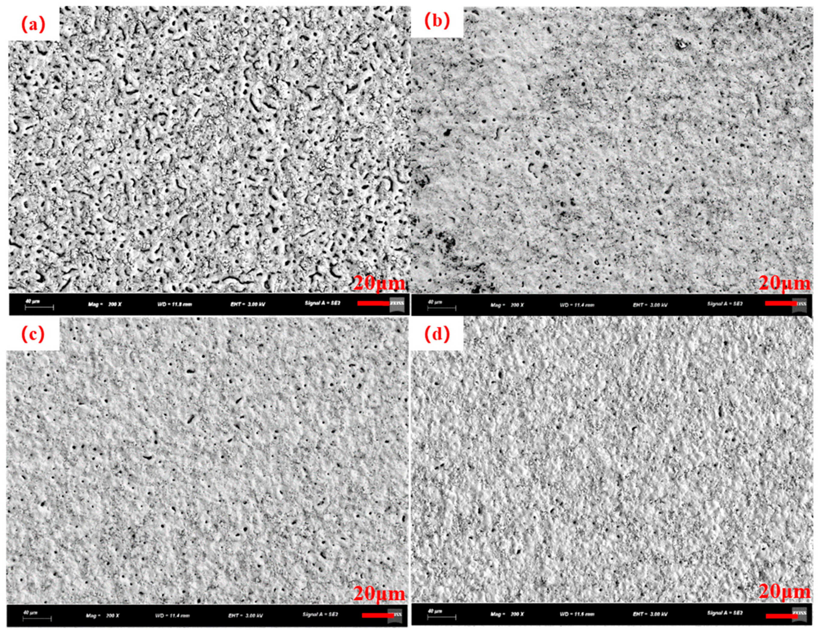 Coatings 15 00569 g002