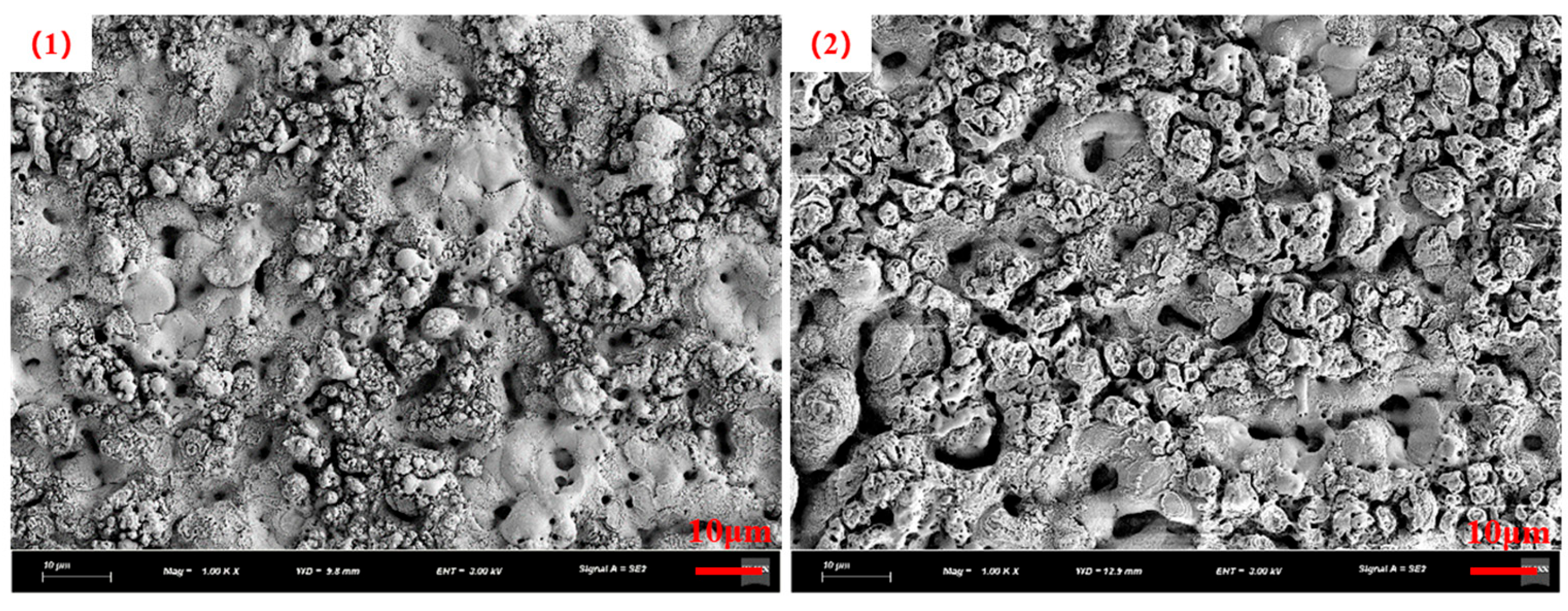 Coatings 15 00569 g005