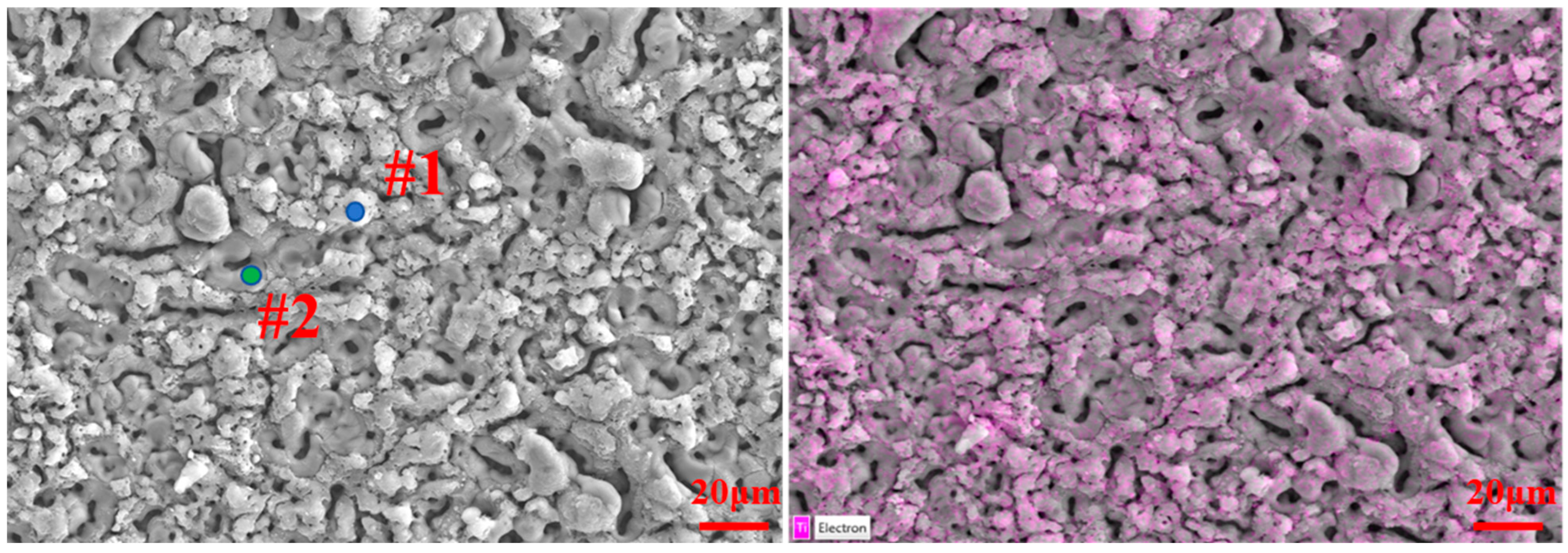 Coatings 15 00569 g007