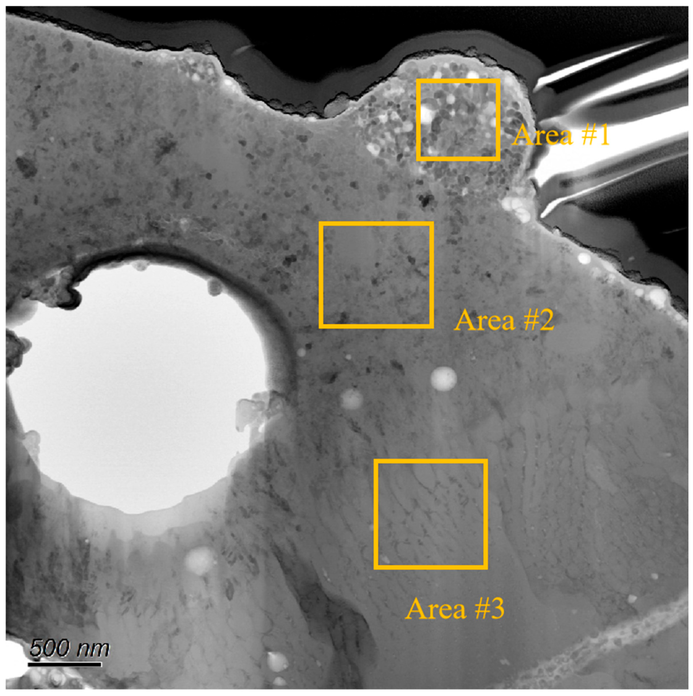 Coatings 15 00569 g008