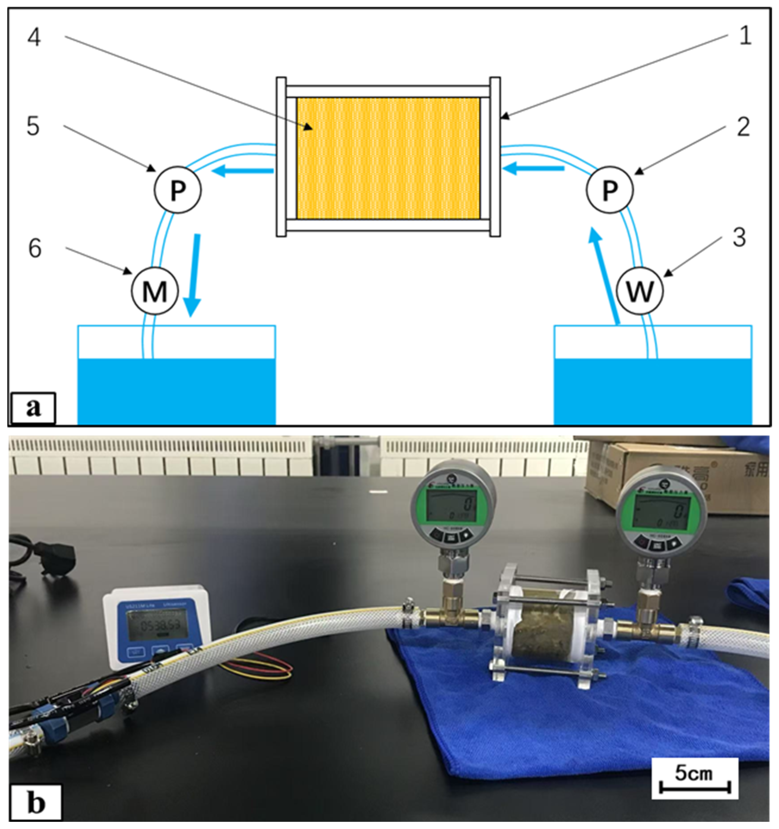 Coatings 15 00571 g004