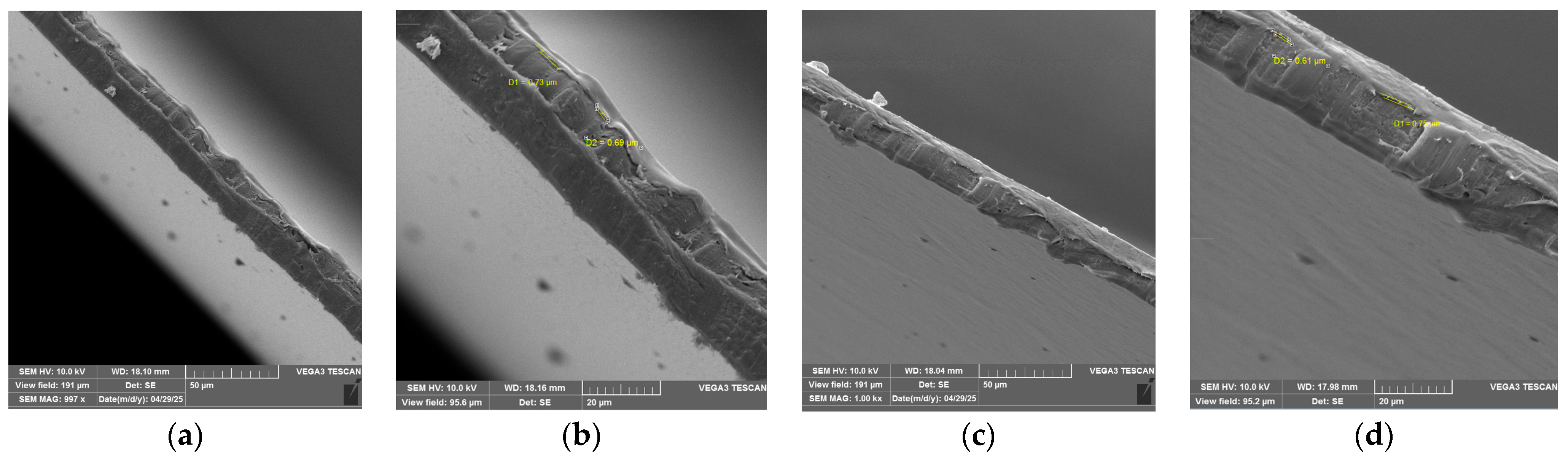 Coatings 15 00576 g004