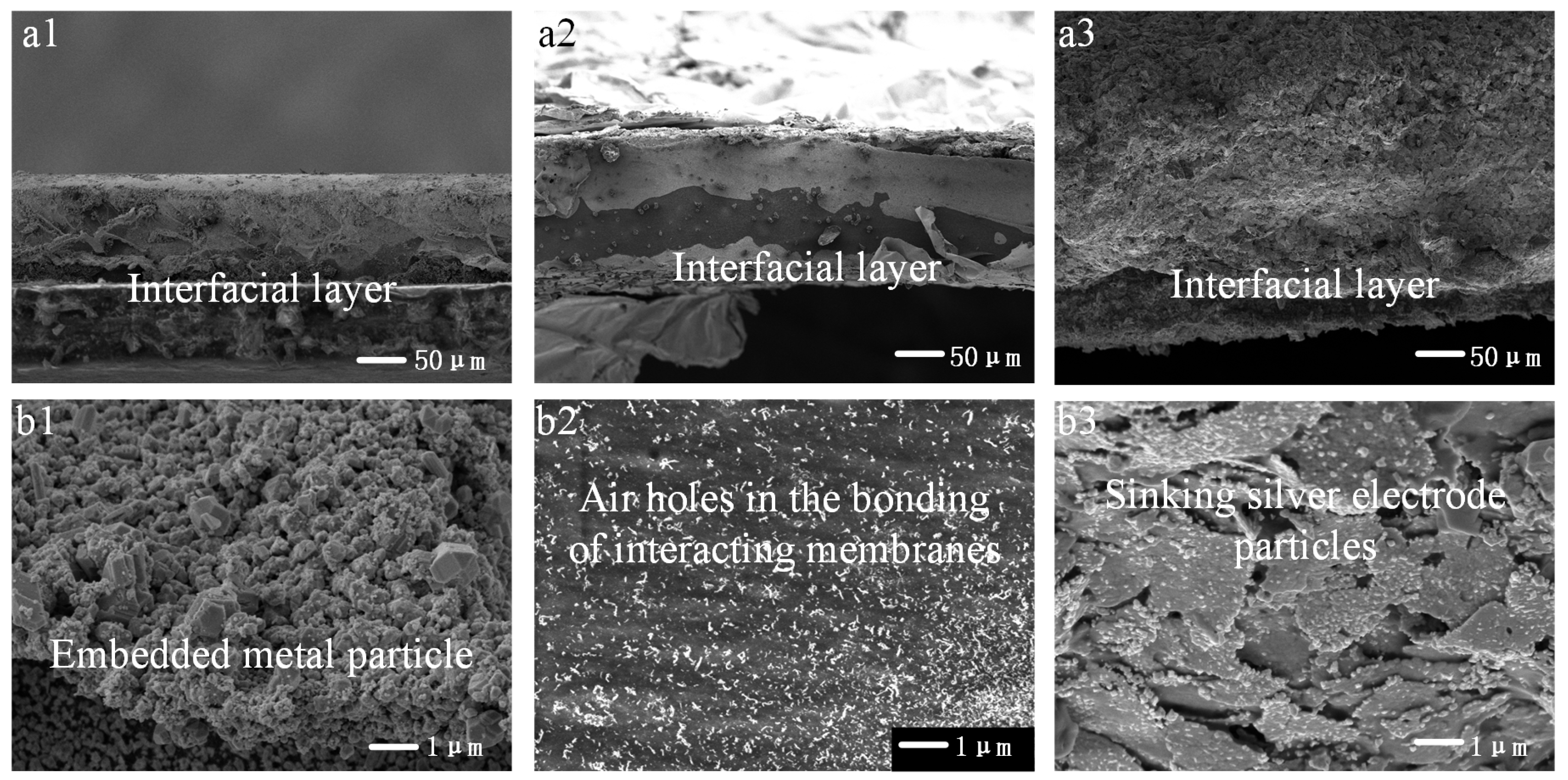 Coatings 15 00577 g002