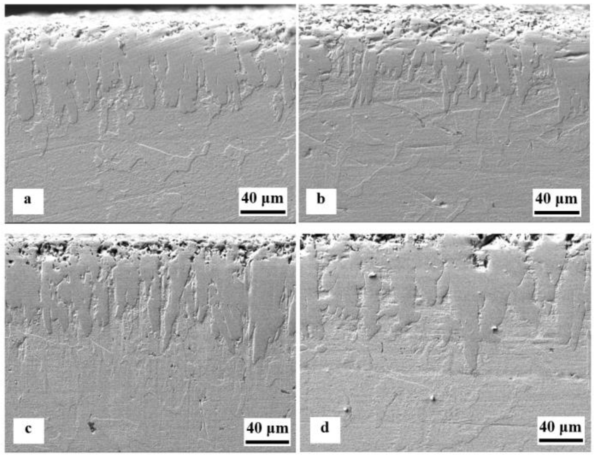 Coatings 15 00579 g002