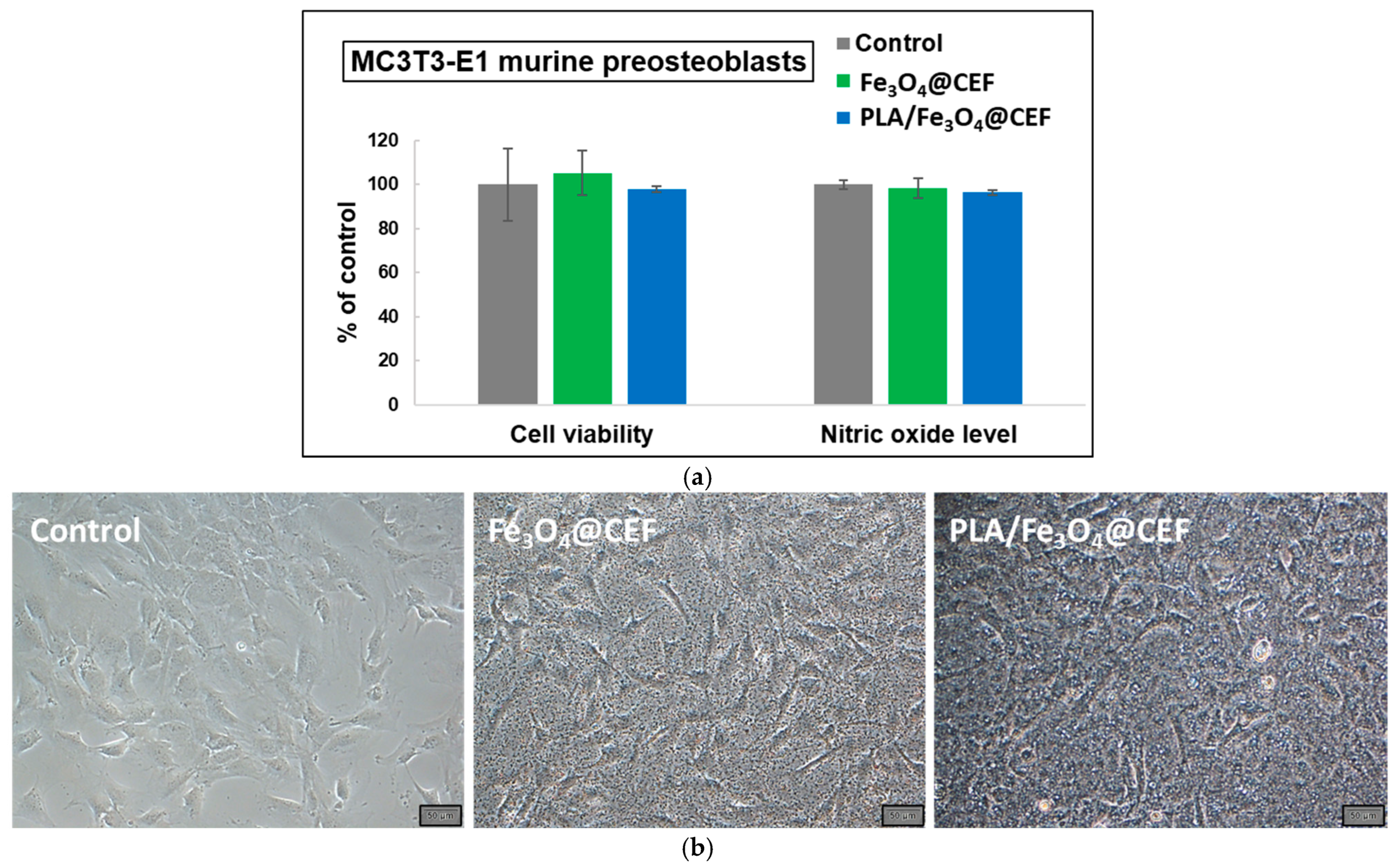 Coatings 15 00584 g009
