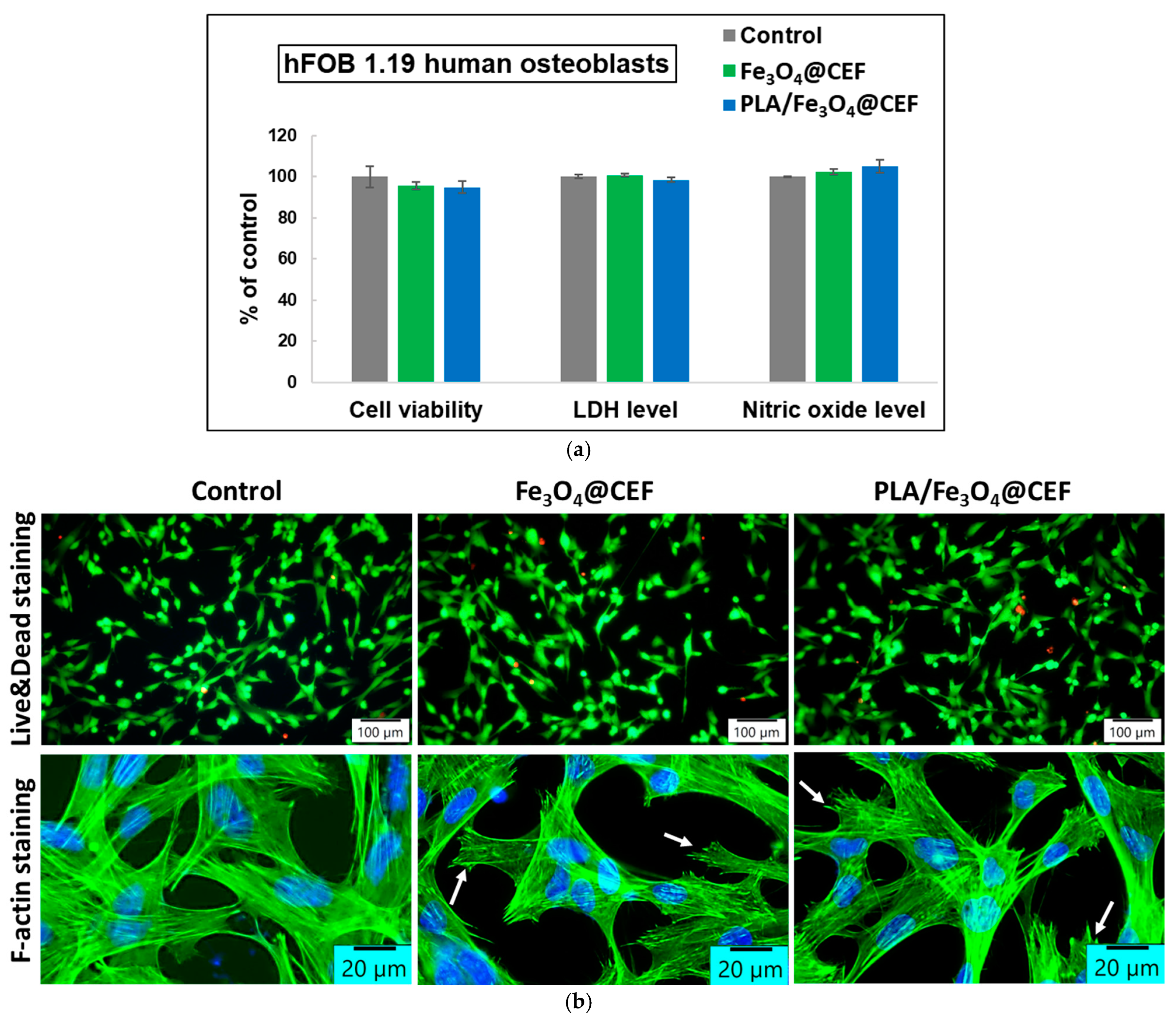 Coatings 15 00584 g010