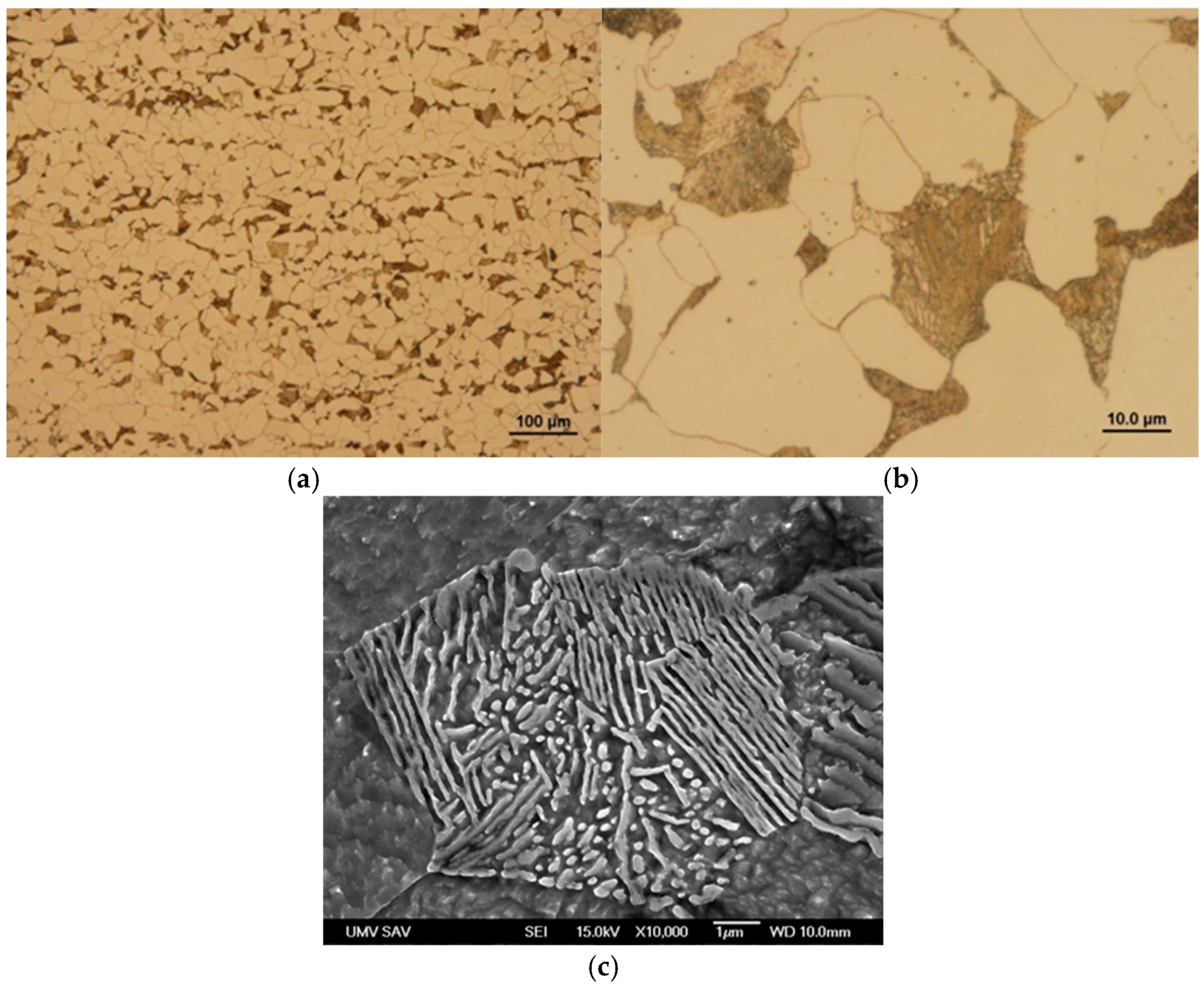 Coatings 15 00585 g002